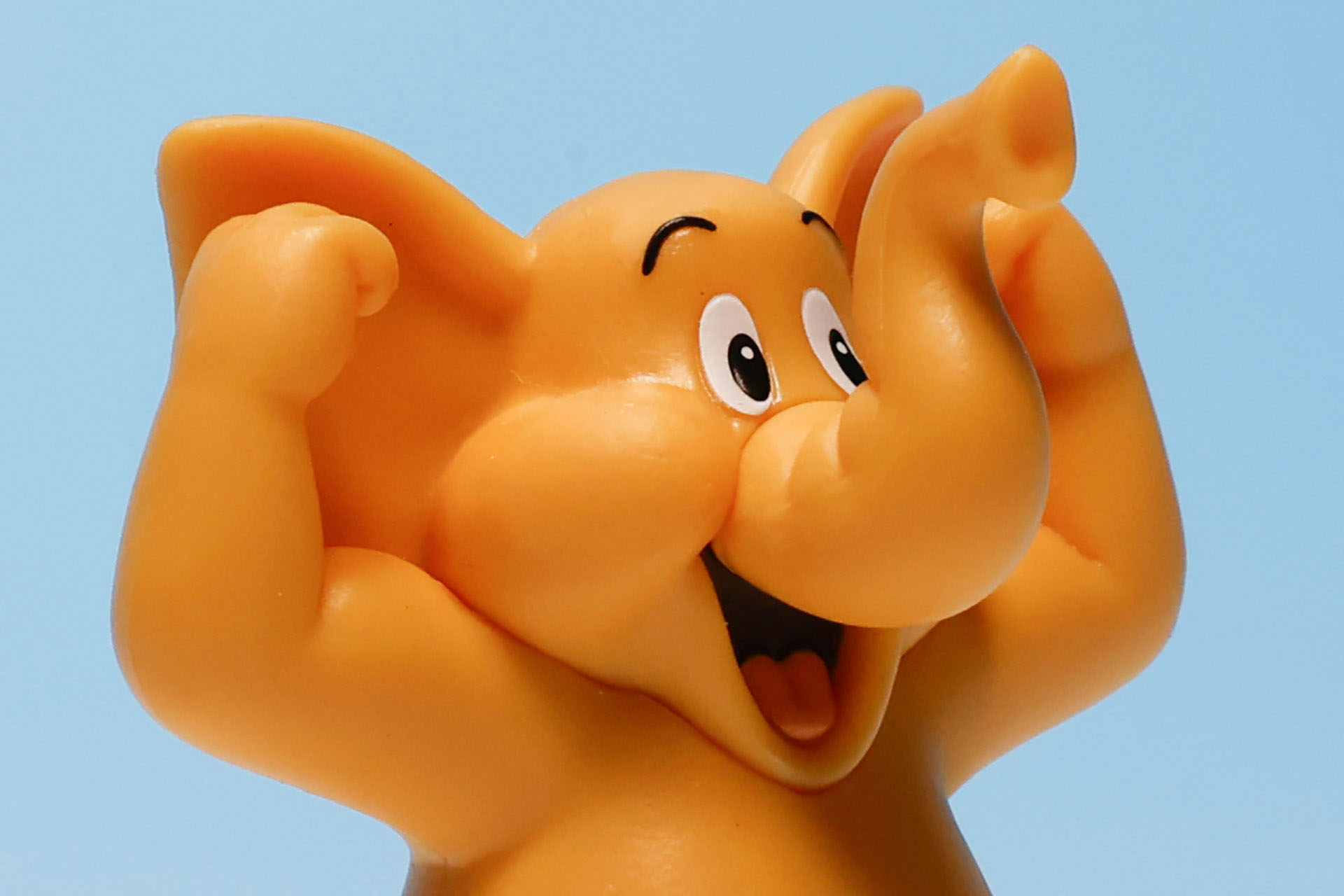 顔の作りが素晴らしい