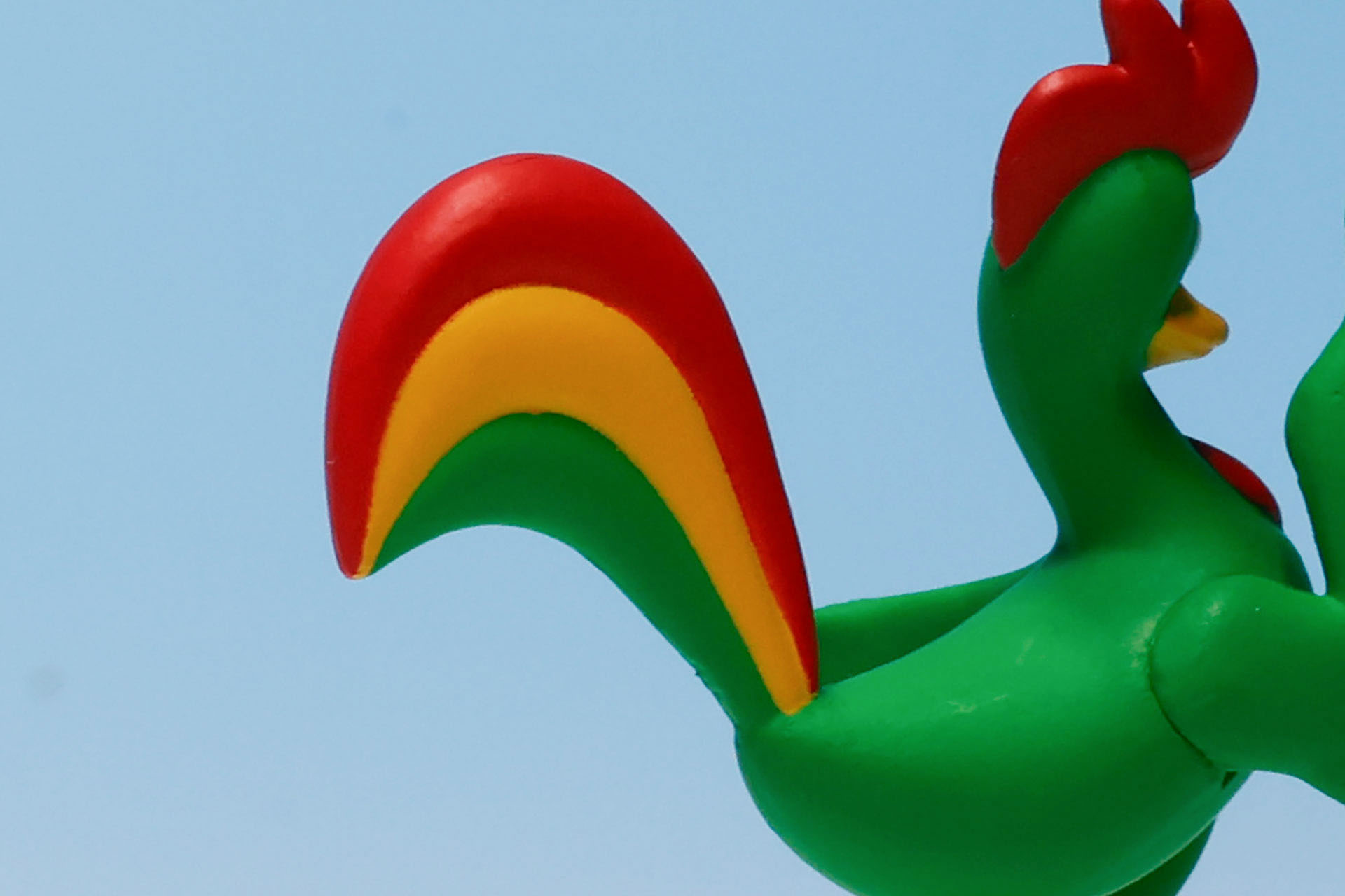 体全体の色合いも綺麗だ