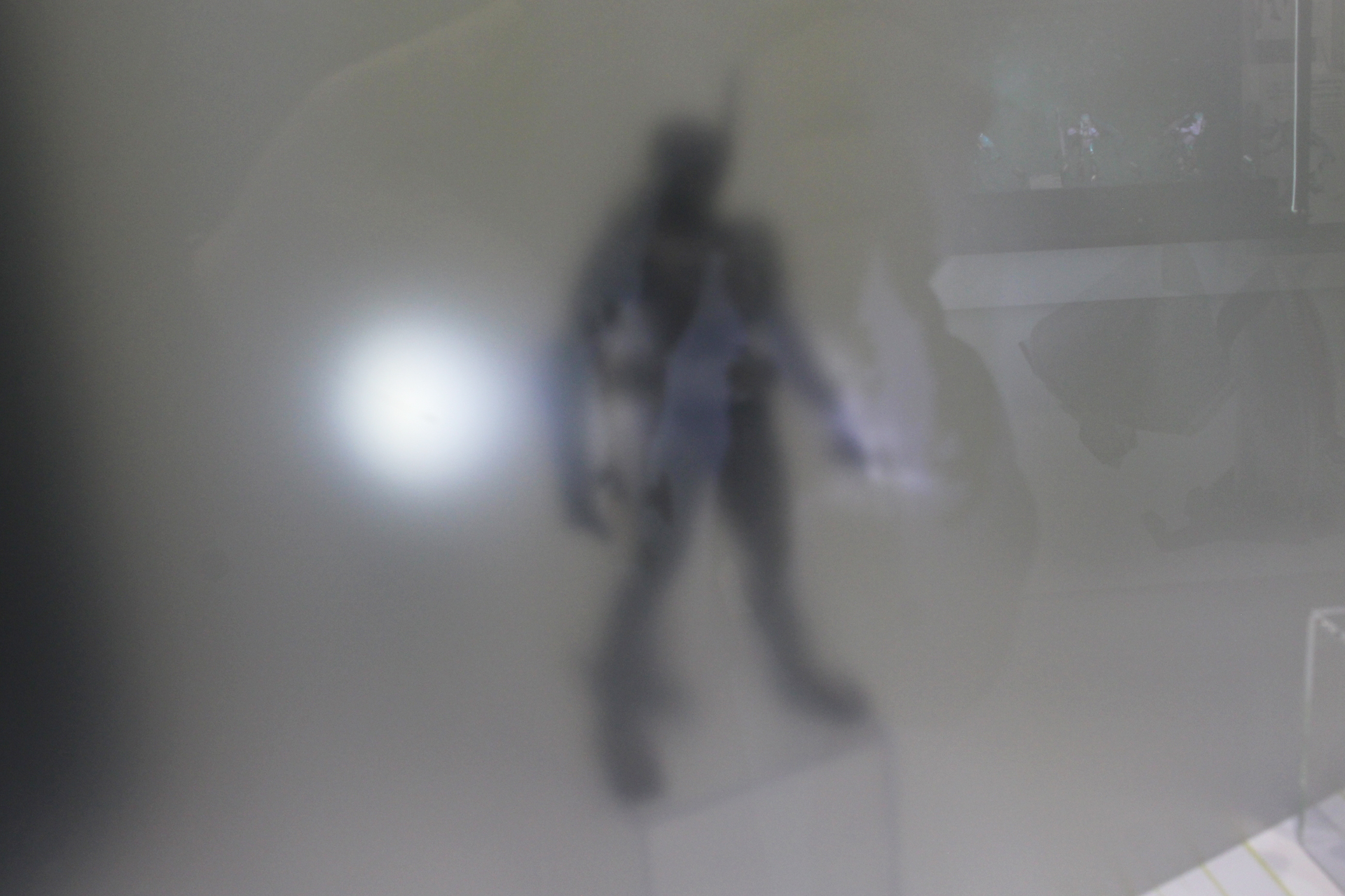 次回ラインナップと思われるシルエット