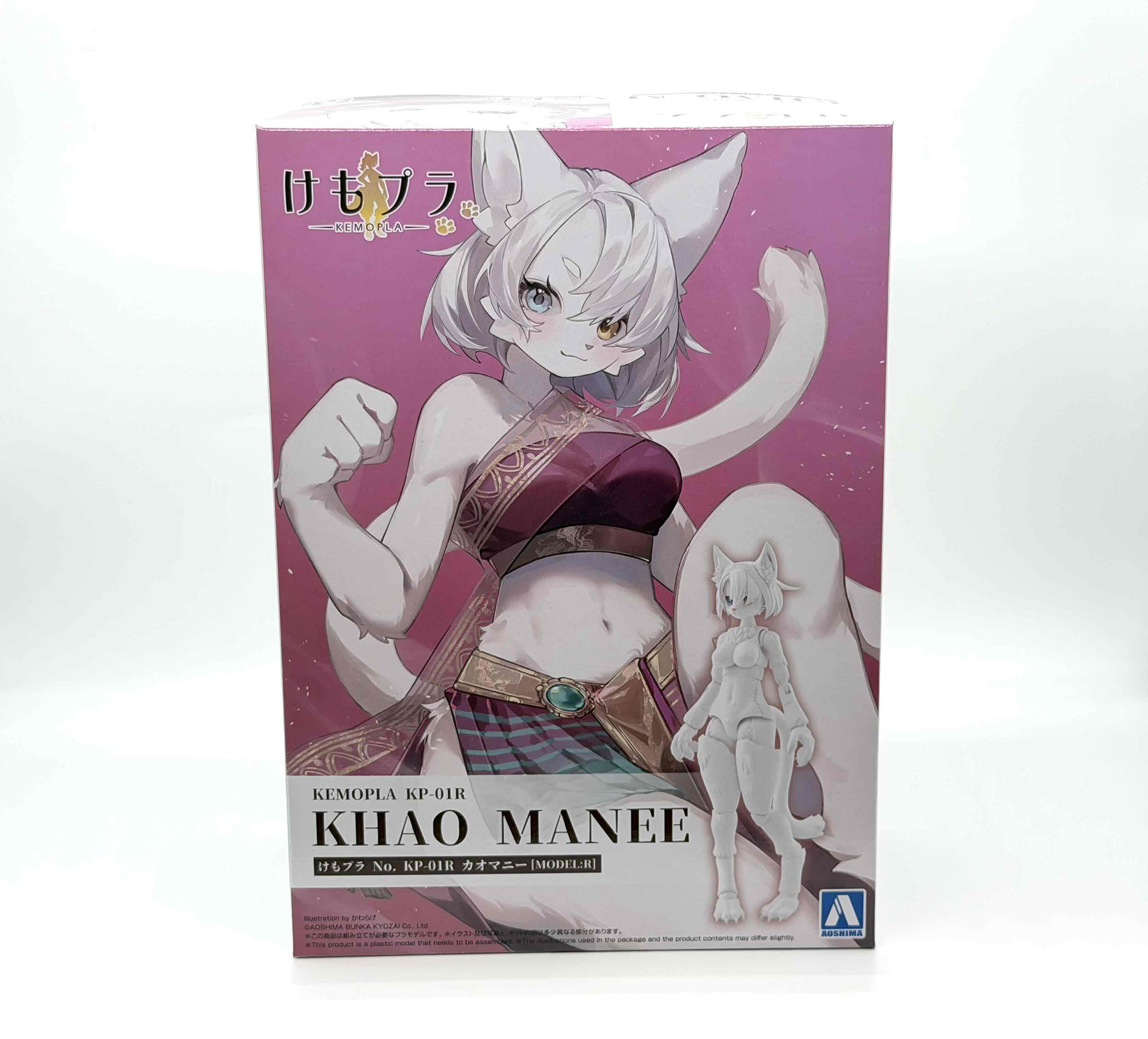 パッケージ。パッケージアートはかわらげ氏によるイラストと完成写真で構成されています