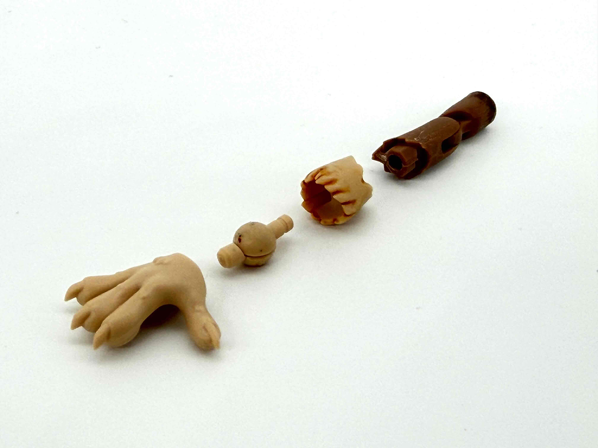 腕は上腕の先で高ケモと中ケモに分かれます