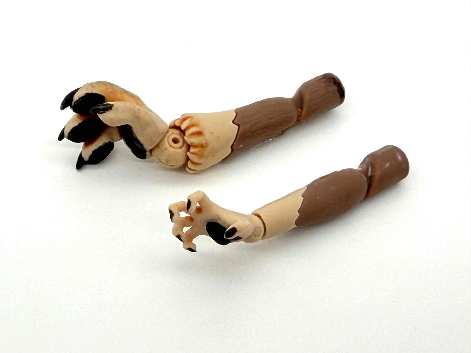 上が高ケモ、下が中ケモの腕となります。大きさや形状もかなり違いますね