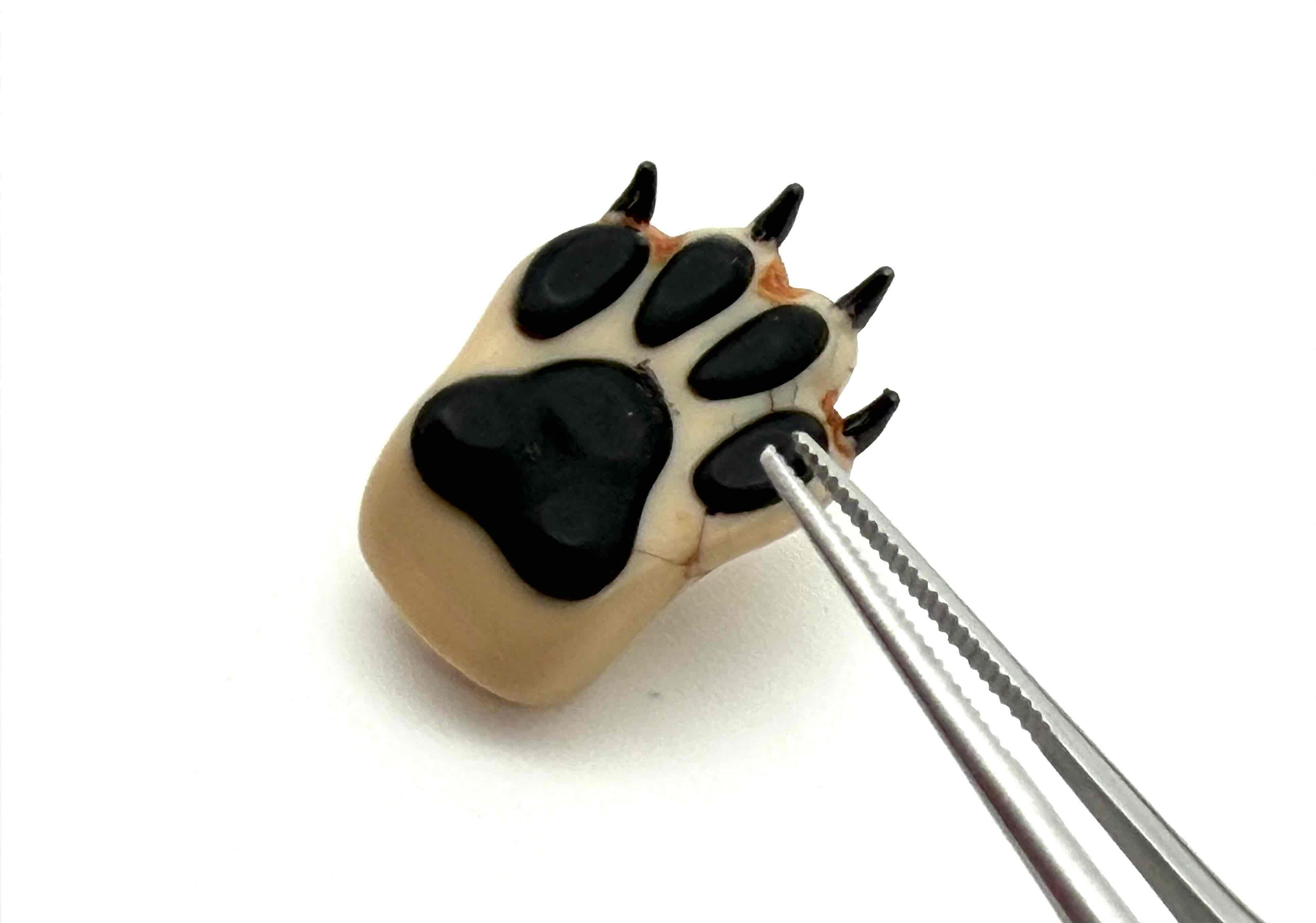 肉球は全て別パーツ！　細部までこだわりを感じます