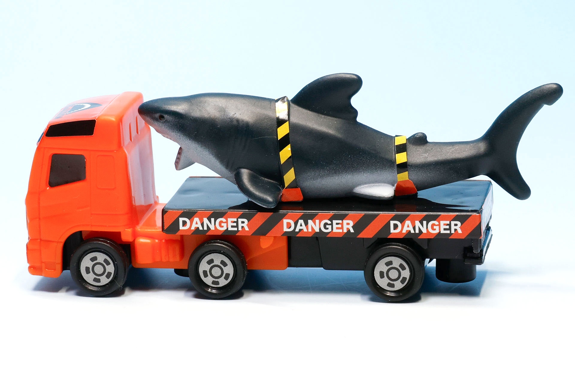 メガロドンは紐で固定されている