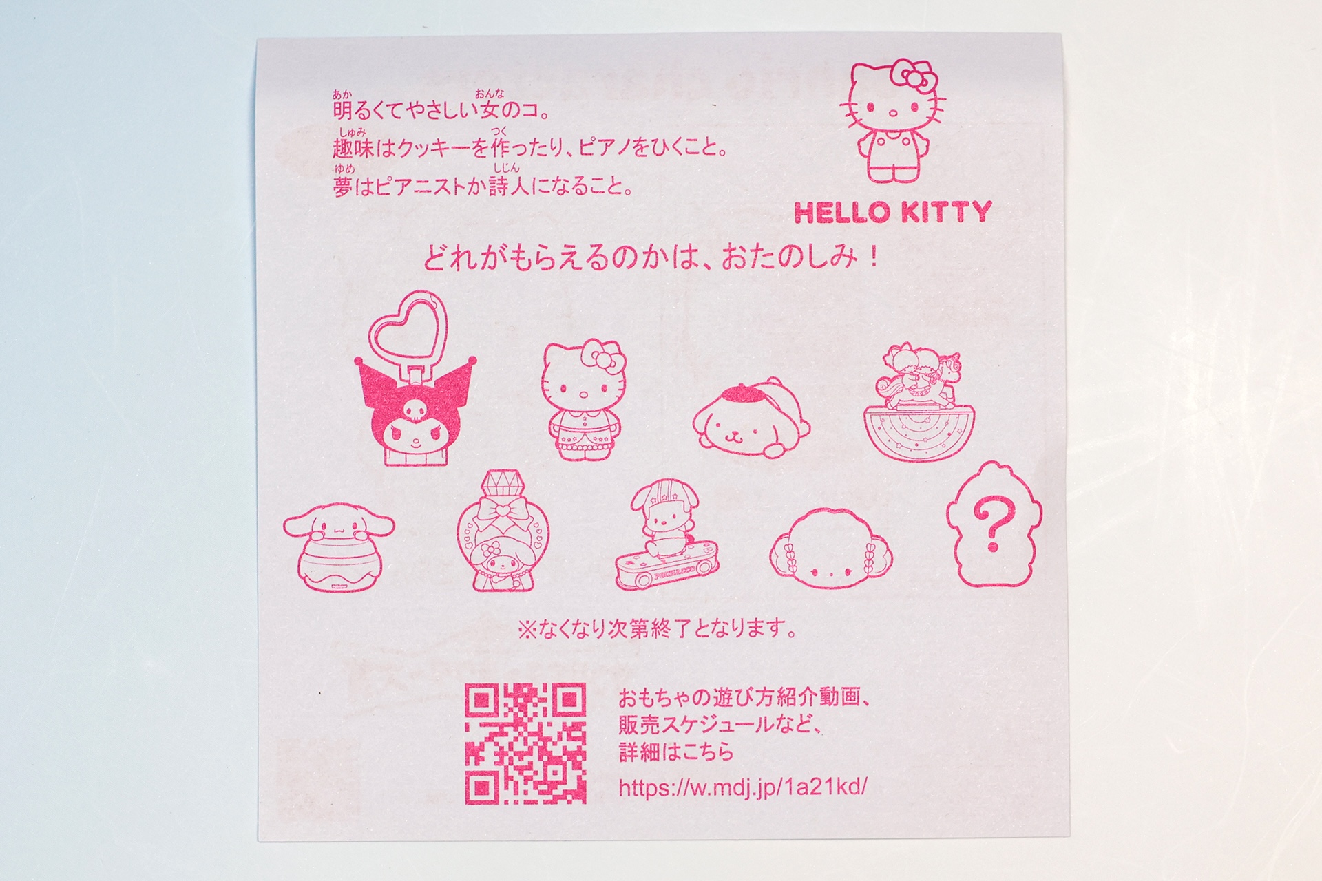 説明書の裏面はすべてのおもちゃに共通したものとなっている