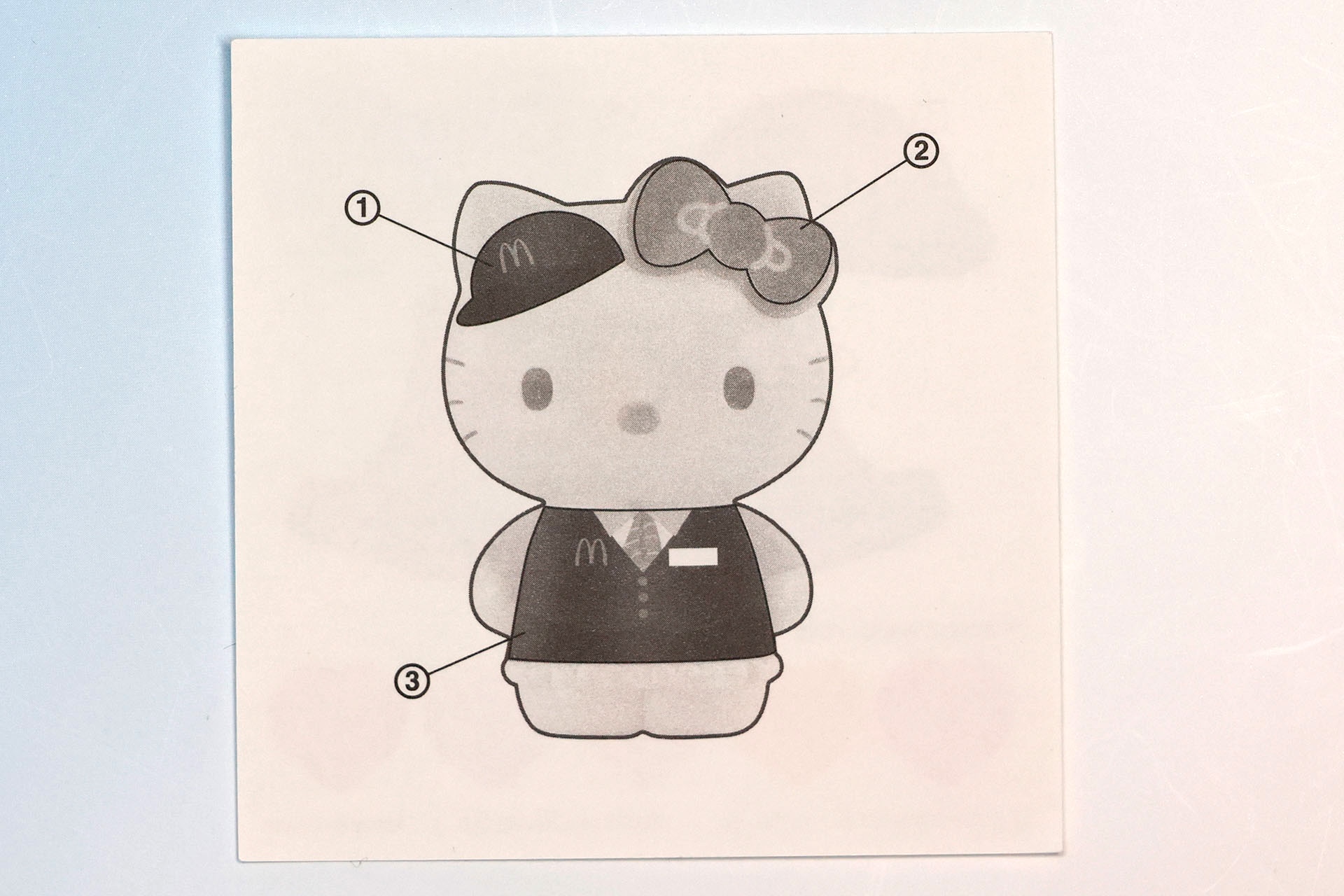 一応、裏面に貼る場所が記載されている