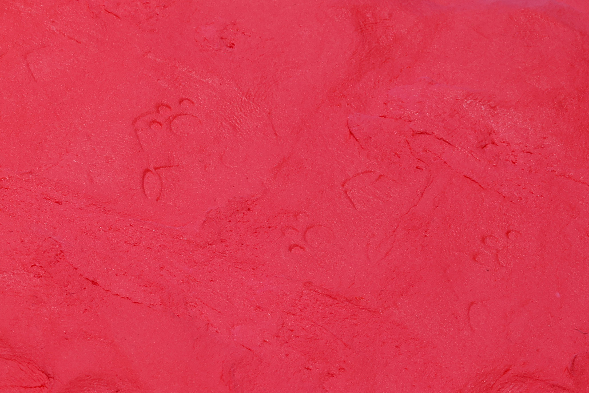 粘土自体にくっついてしまったためそれほどうまくいかなかったが、一応うっすら足跡やプリンの跡が付いている