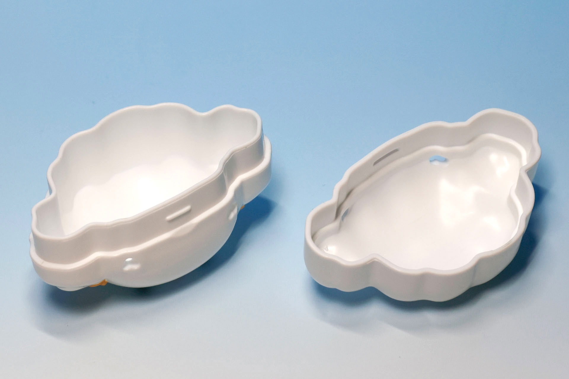 ケースを開けたところ