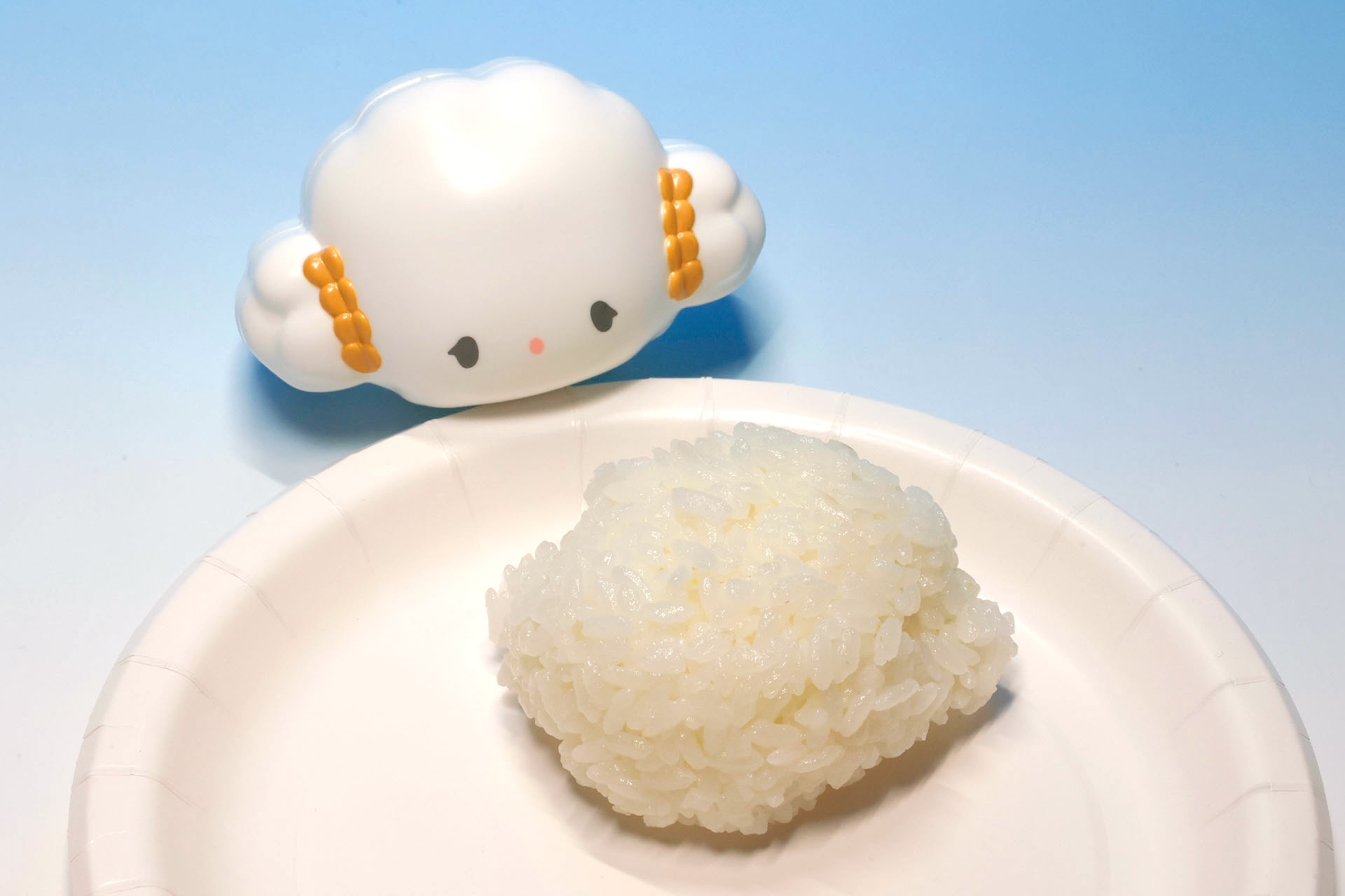 丸っこいおにぎりを作ることができた