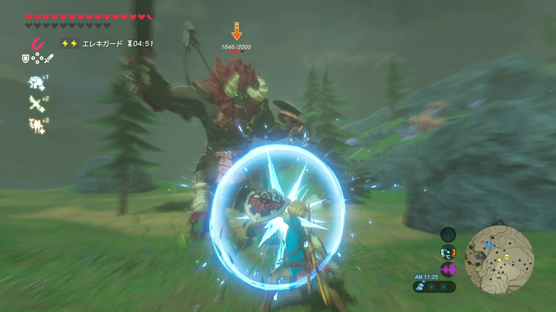 使い方は他の盾と同じ。パリィで敵の攻撃を弾くことも可能。『ゼルダの伝説 ティアーズ オブ ザ キングダム』にも登場する