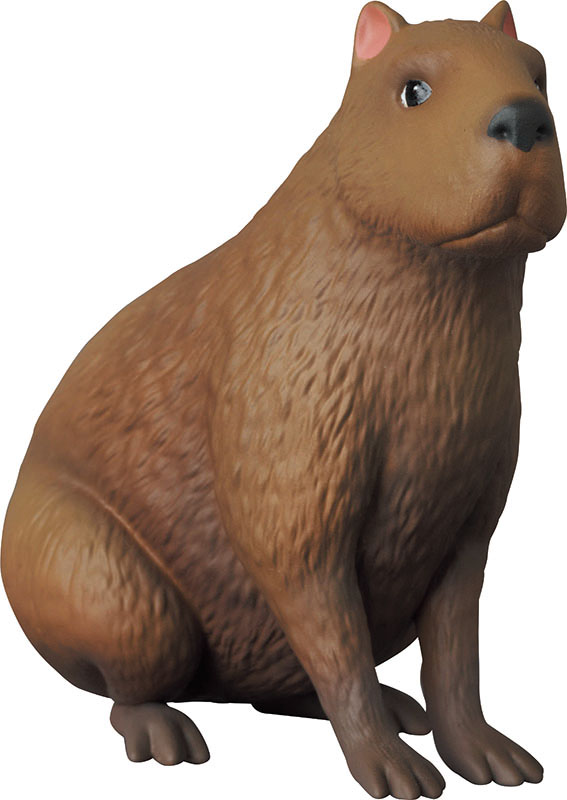 「Capybara」