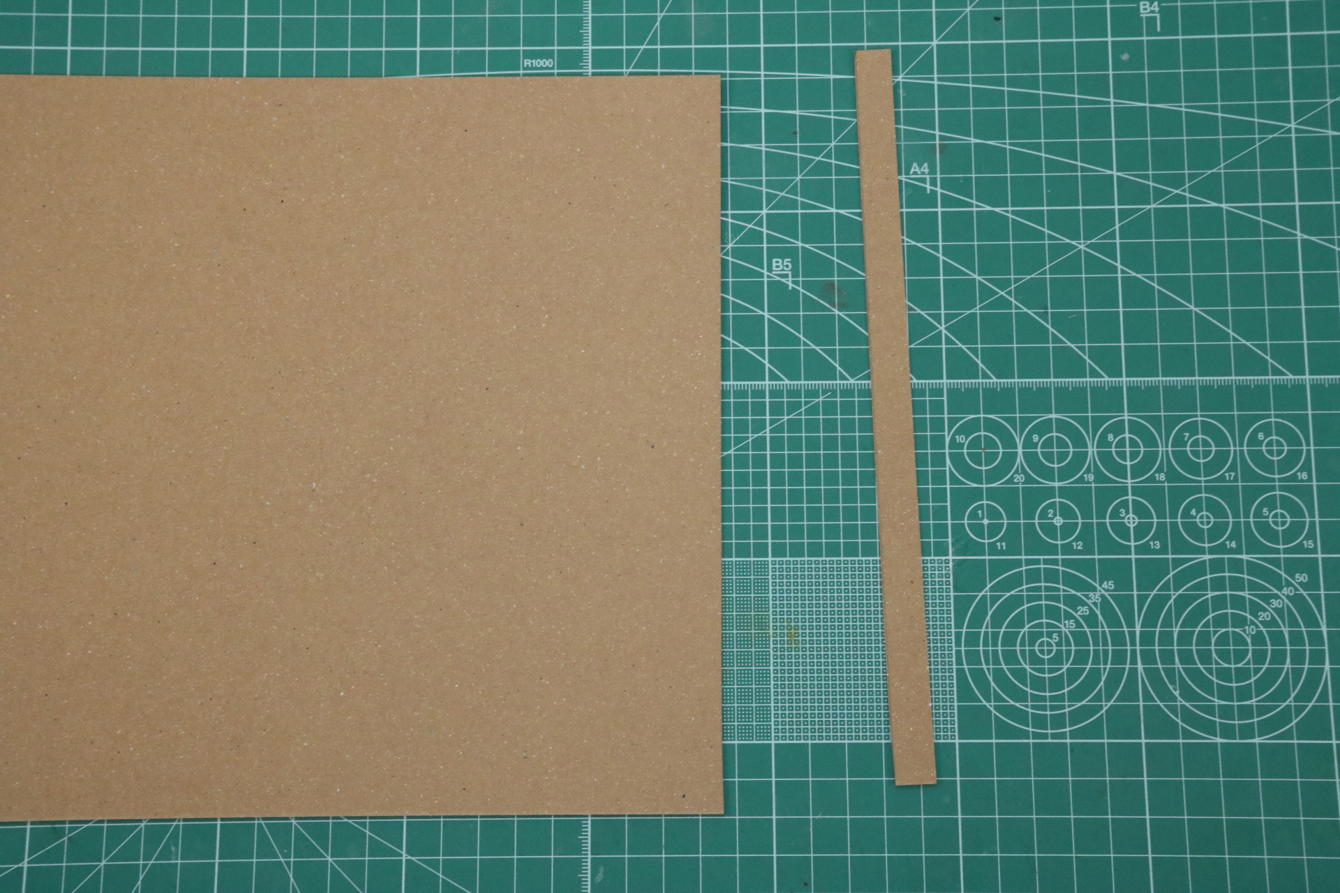 切り取ったものをさらに2cmでカットしていく