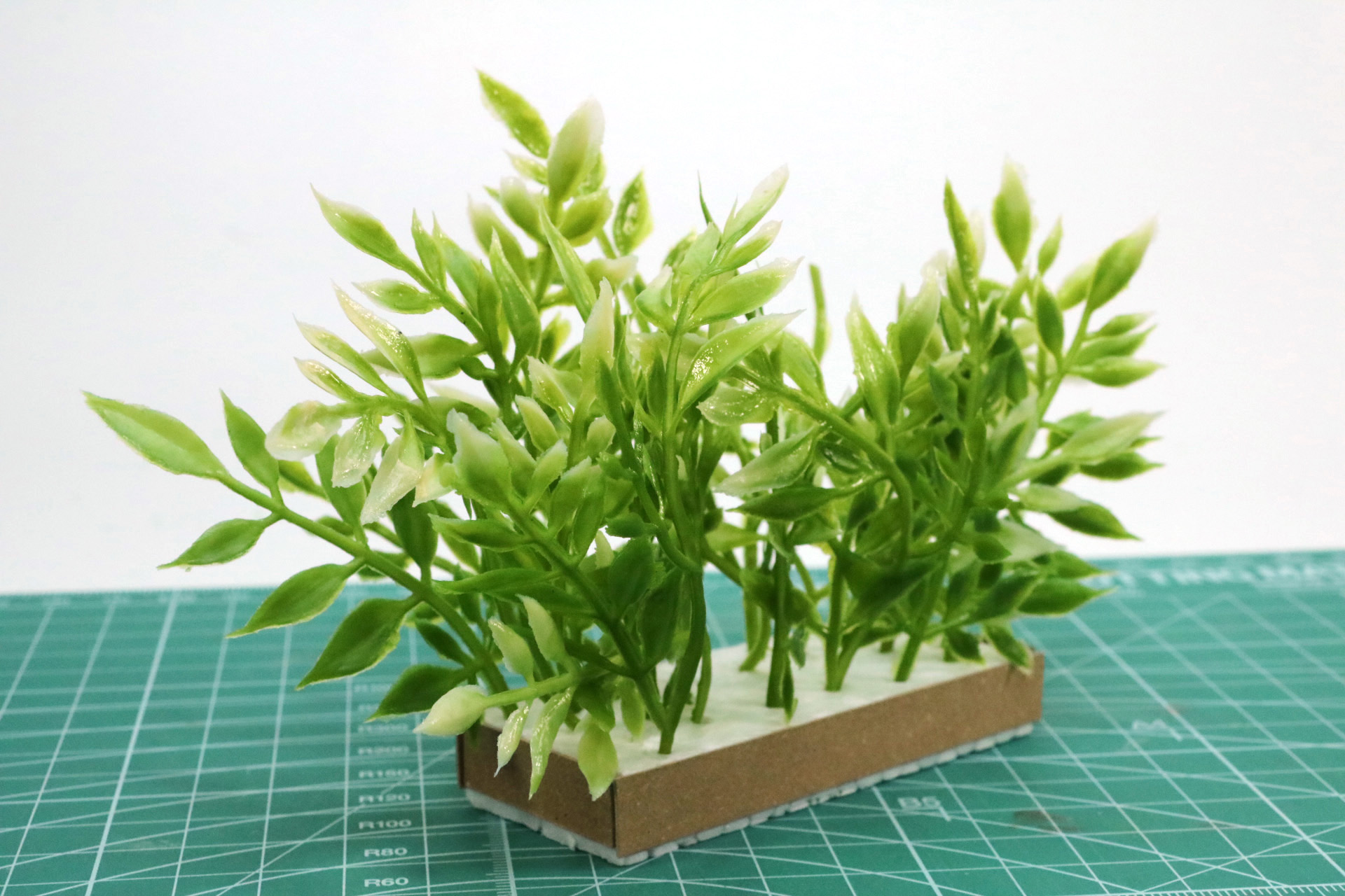 植え込みが完成