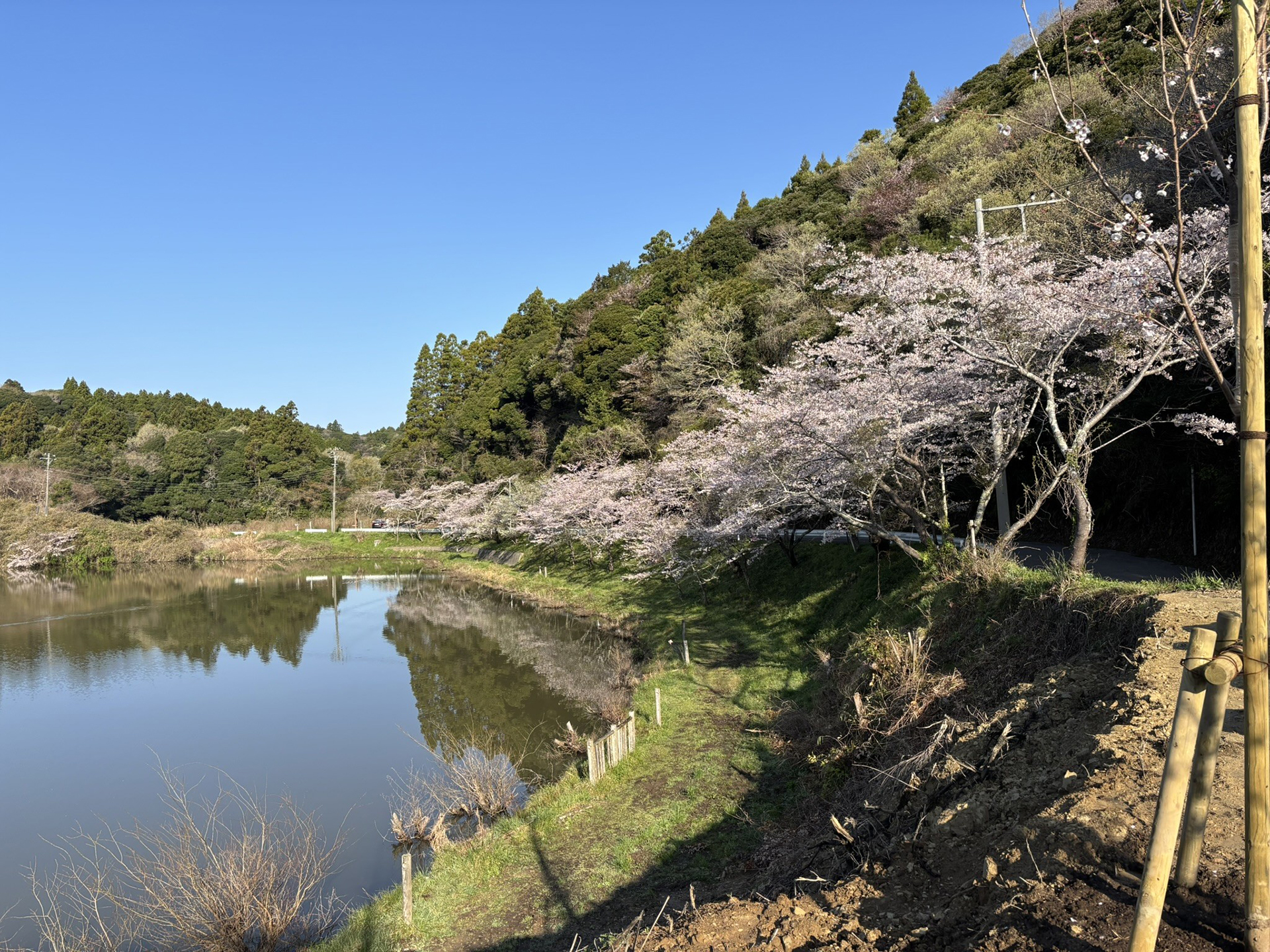 海沿いにある一宮町から、千葉県の南側にある丘陵地帯へ向かう道にある洞庭湖。地元の人たちの散歩コース。ウグイスなど野鳥の声を楽しめる。池周辺には桜が植えられていて、お花見スポットだ
