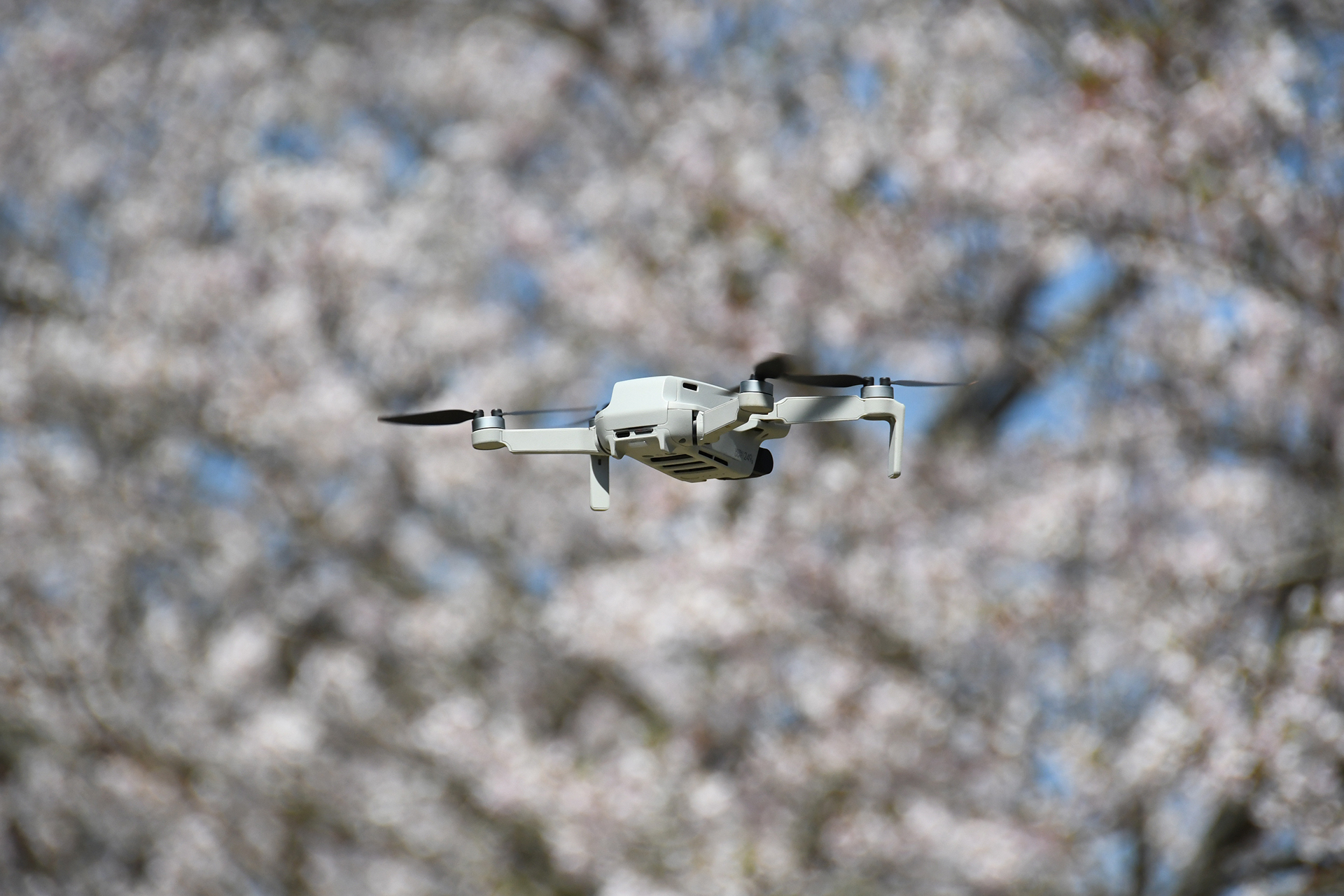 シンプルだからこそ空撮の醍醐味が手軽に味わえるドローン。カメラの画角を考え操縦する必要があるが、操作に習熟すれば美しい空撮が可能となる