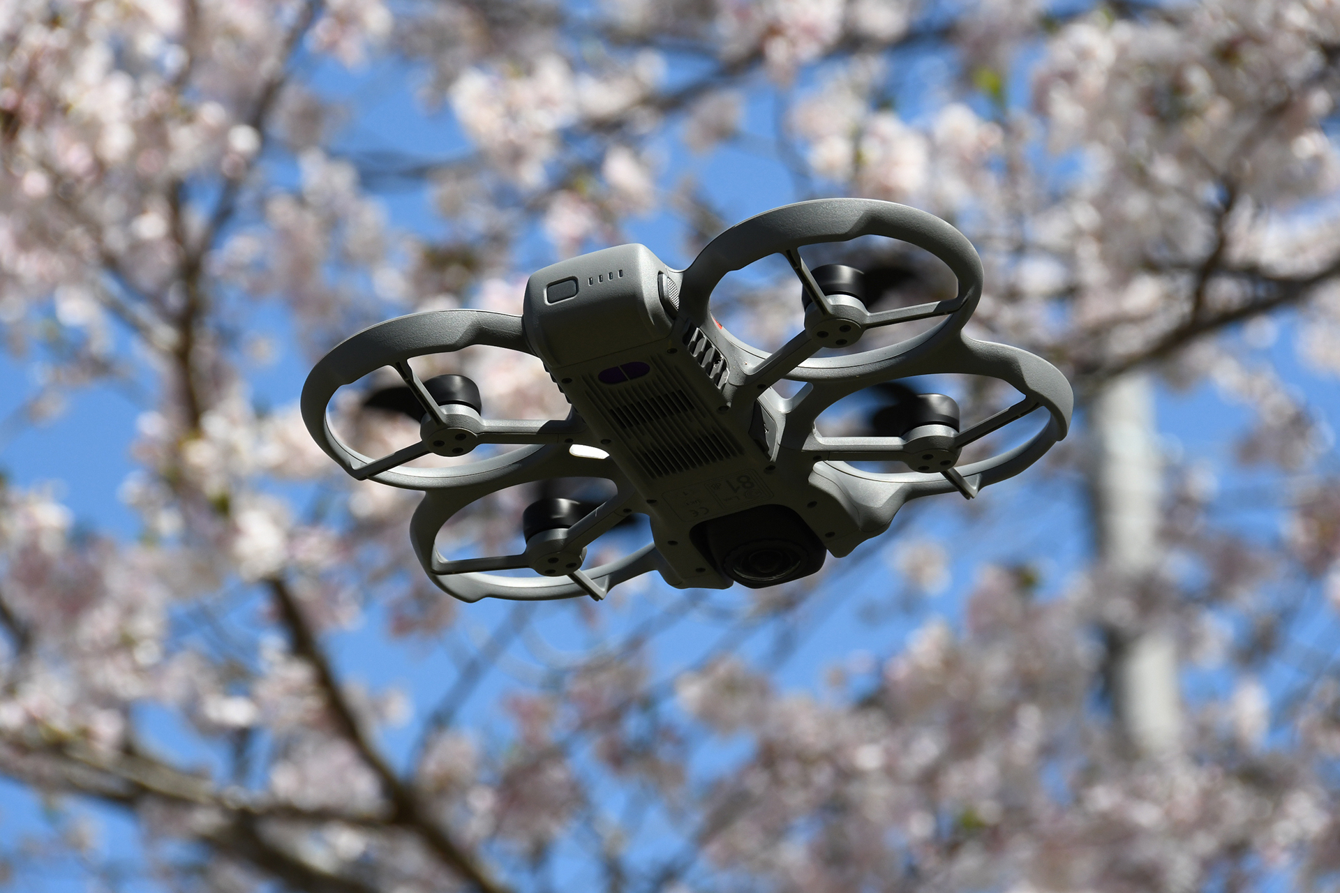ドローンの周囲全景を撮影できる「DJI Avata 360」。ドローンのカメラの方向を考えず撮影でき、編集ソフトで凝った映像表現が可能だが、近くの映像は魚眼レンズのように歪んでしまうなど独特の癖がある。ドローンによるユニークな映像表現をしてみたい人にお勧めだ