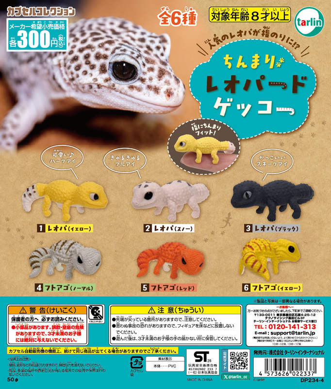 「ちんまりレオパードゲッコー」