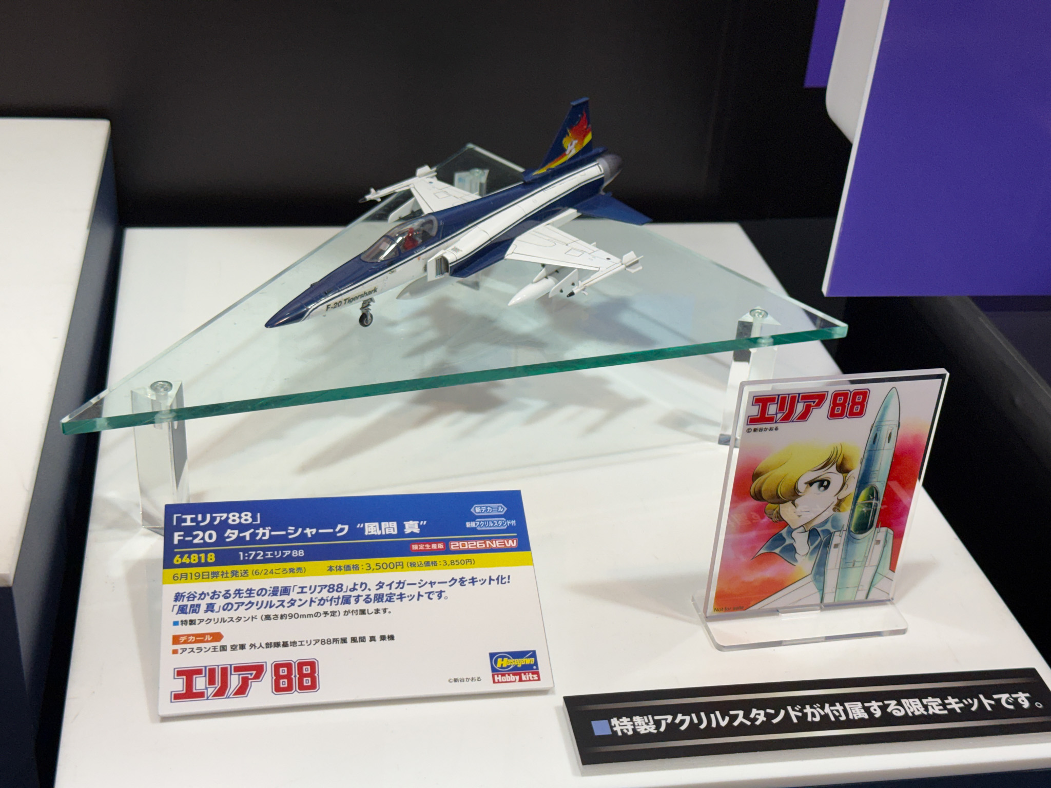 「エリア88」F-20 タイガーシャーク ”風間 真”