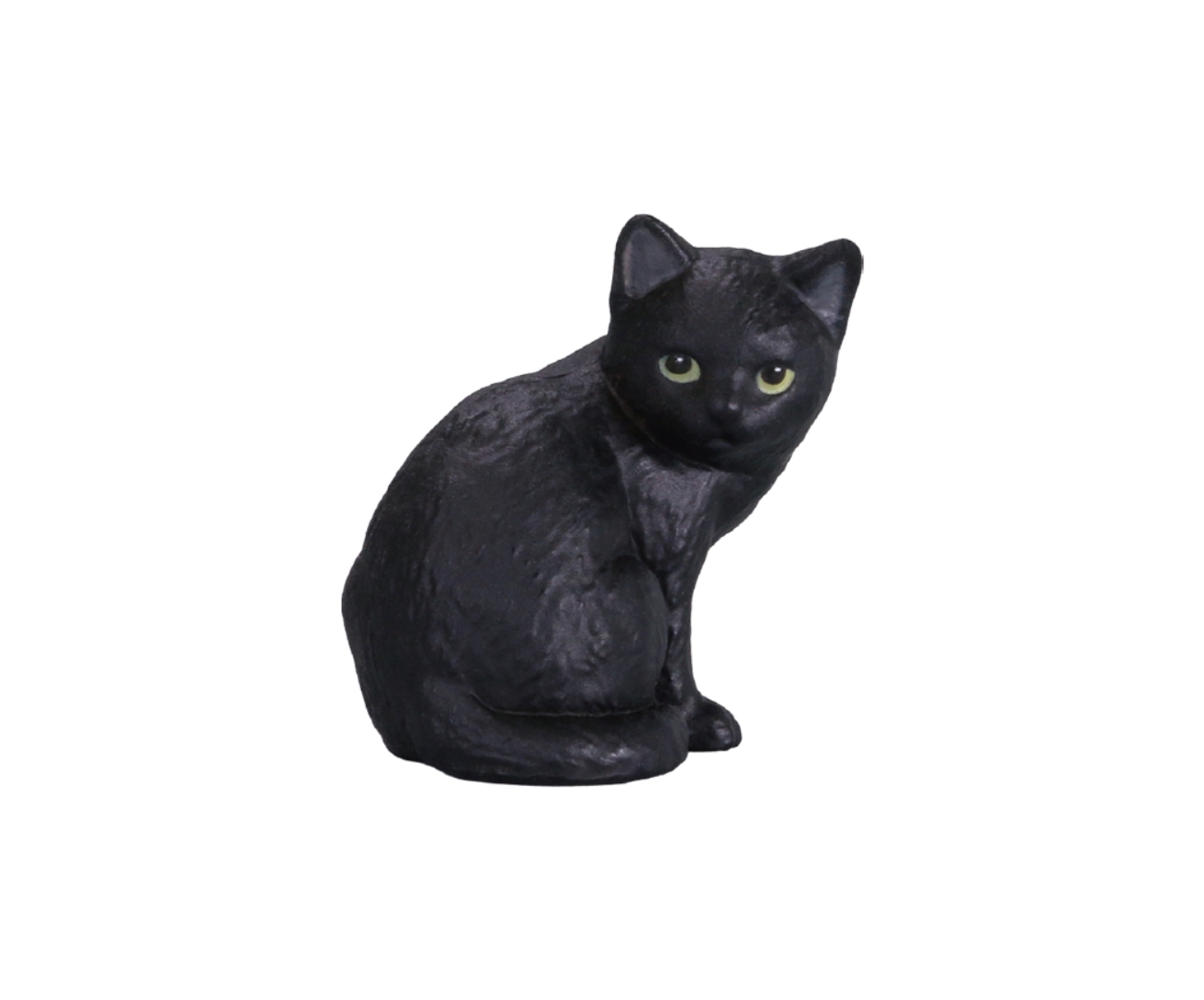 「クロ（子猫）」
