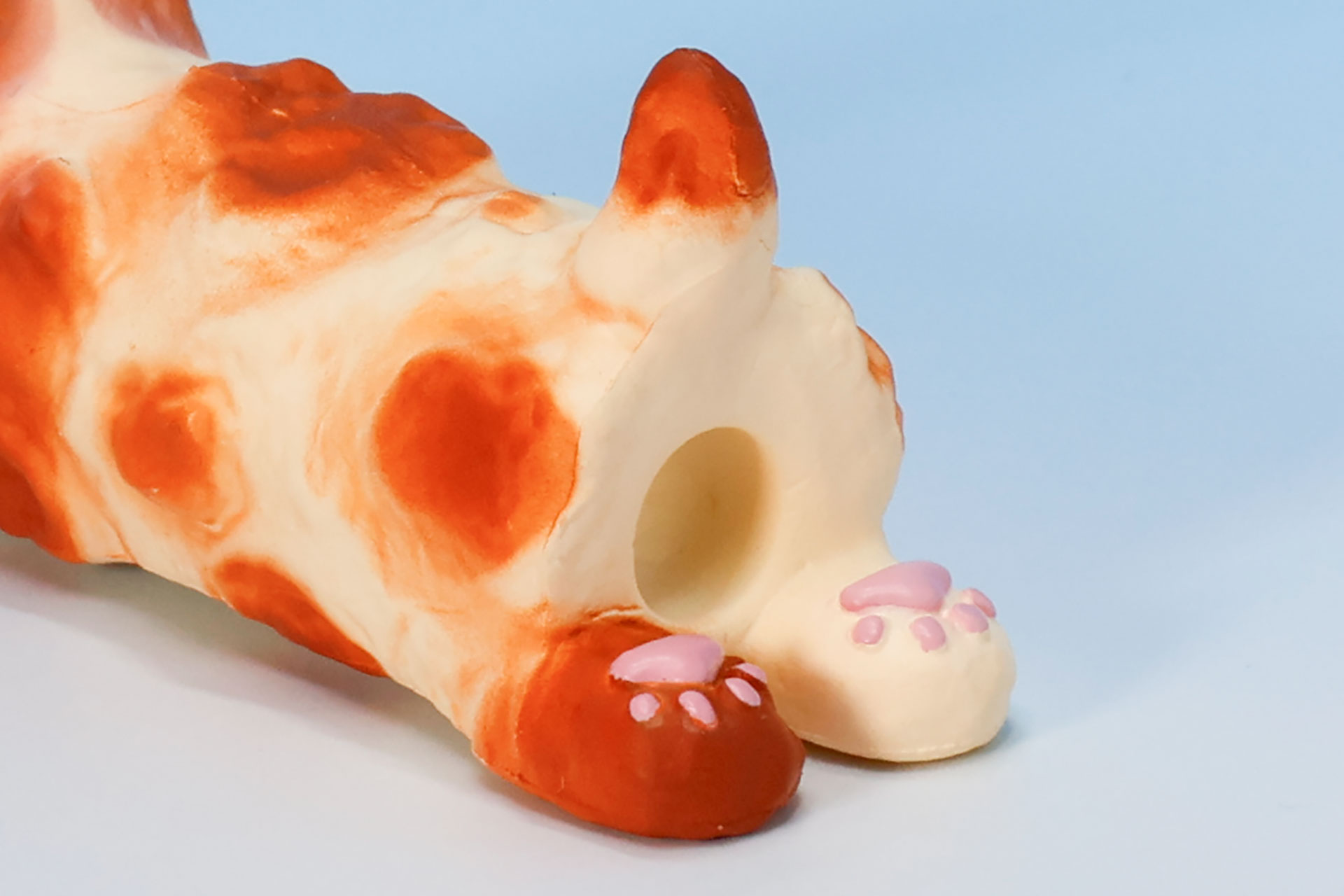 肉球部分はピンク色だ