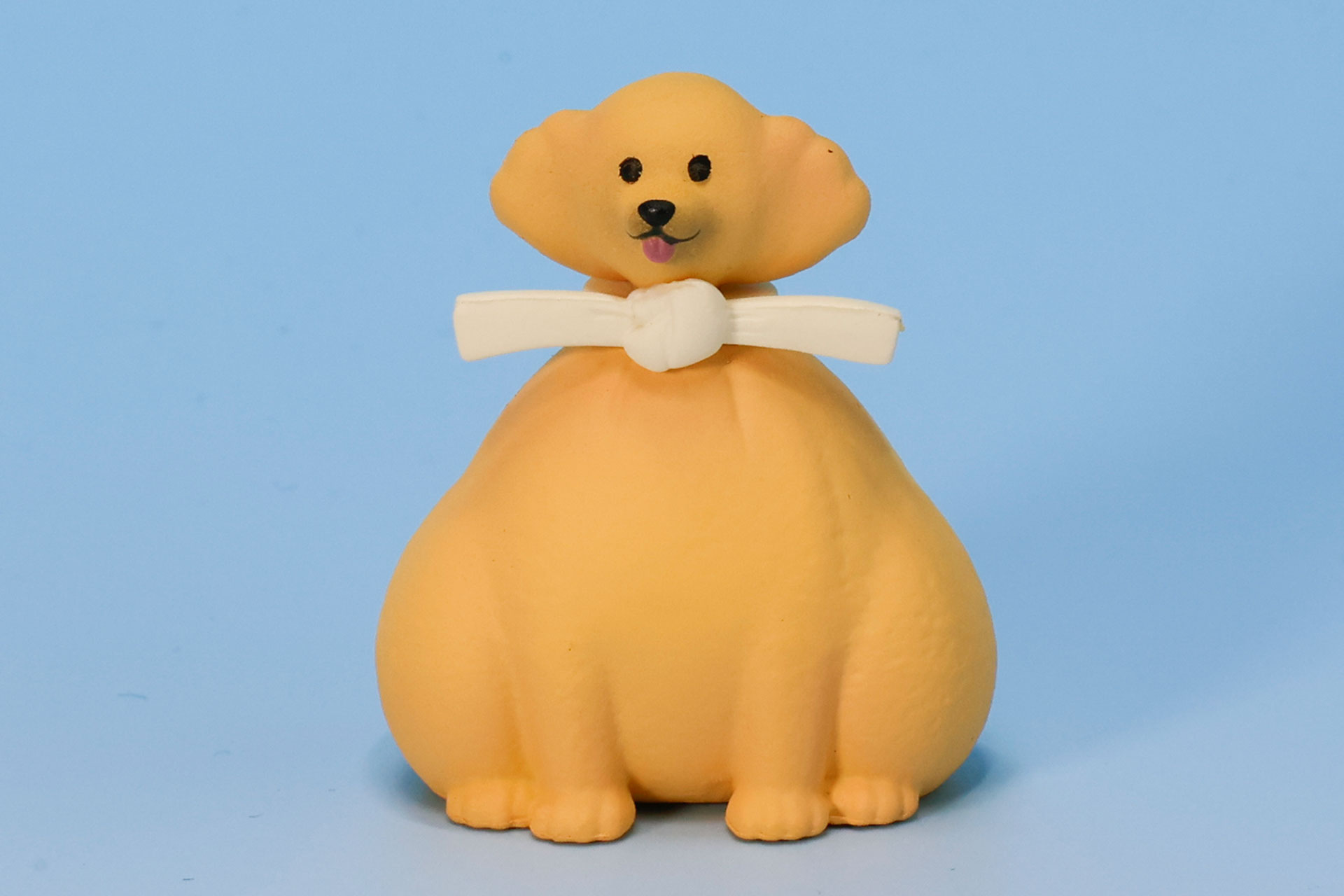 わんこの表情がたまらなくかわいい
