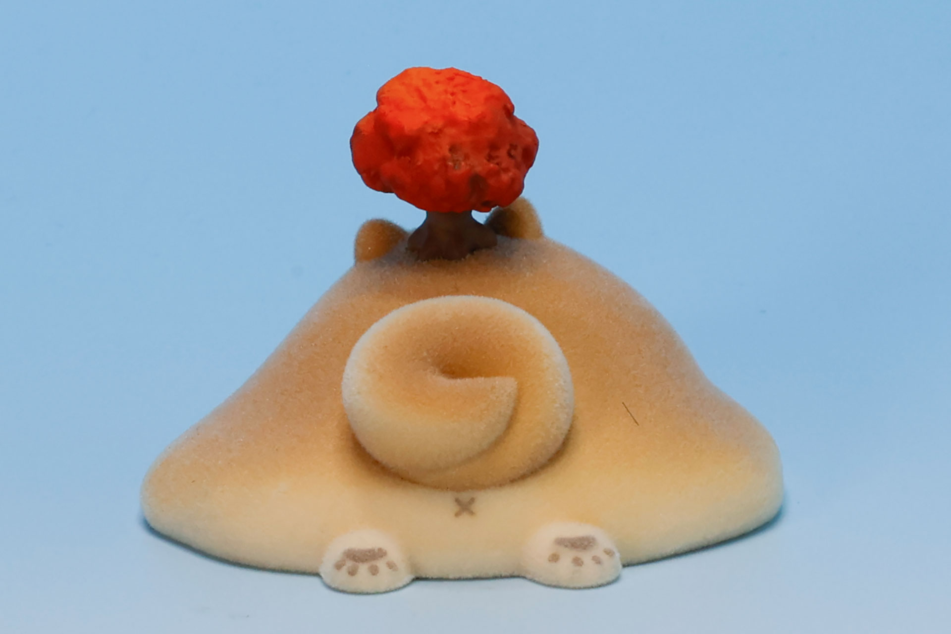 くるんと丸まった尻尾もかわいらしい
