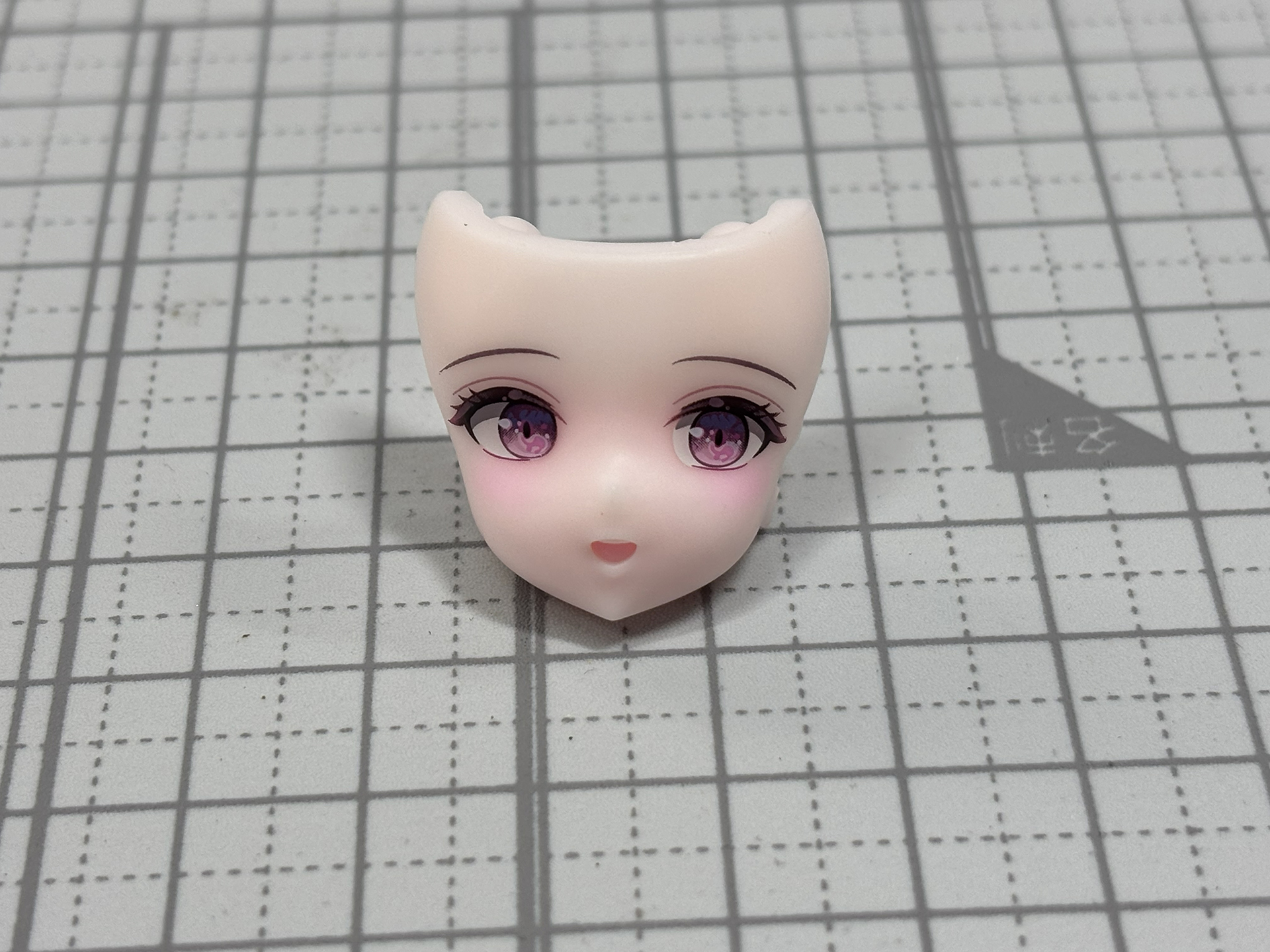 組み合わせることで口の中までしっかり色分けされる