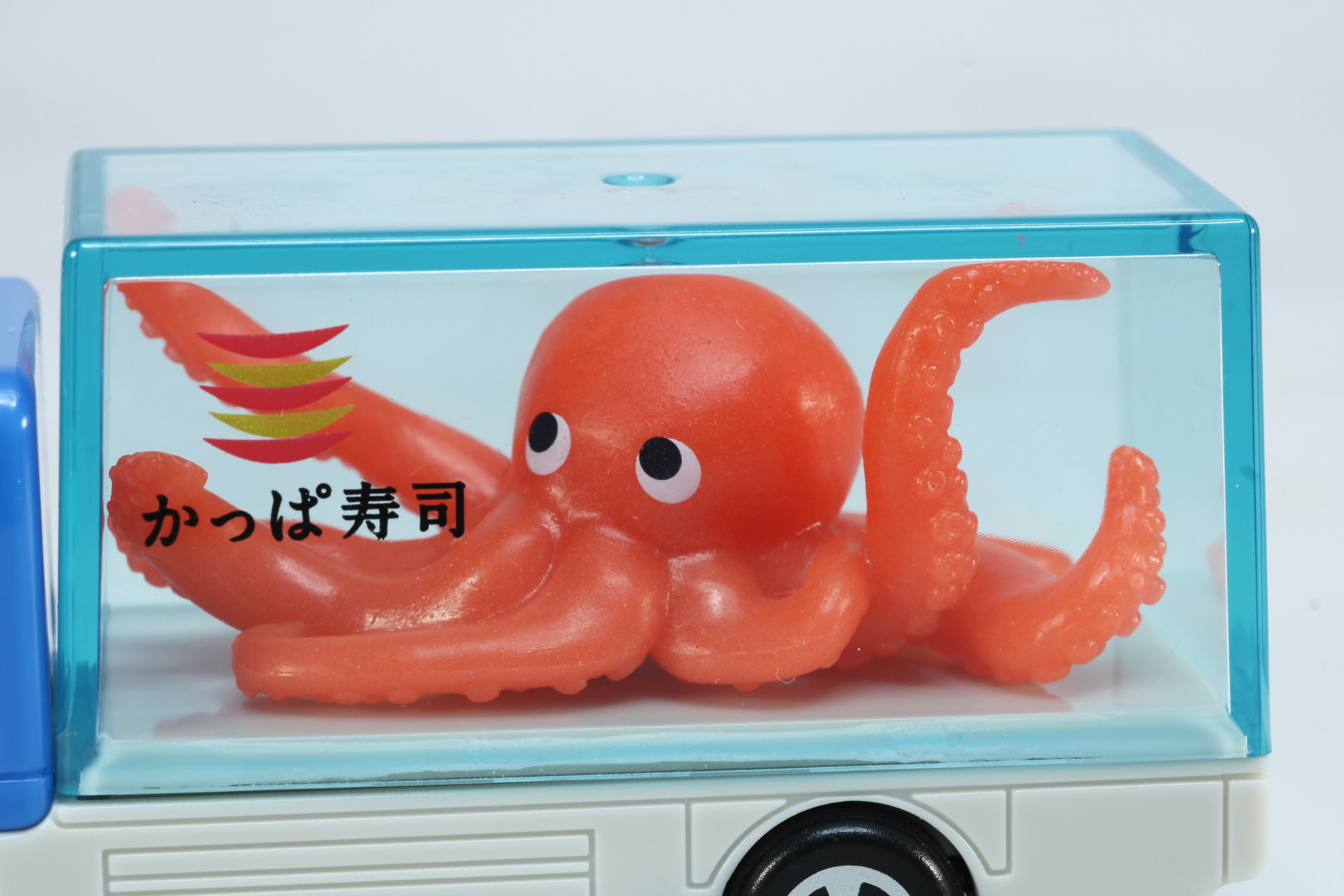 荷台には水槽のようになっており、中には大きなたこが！