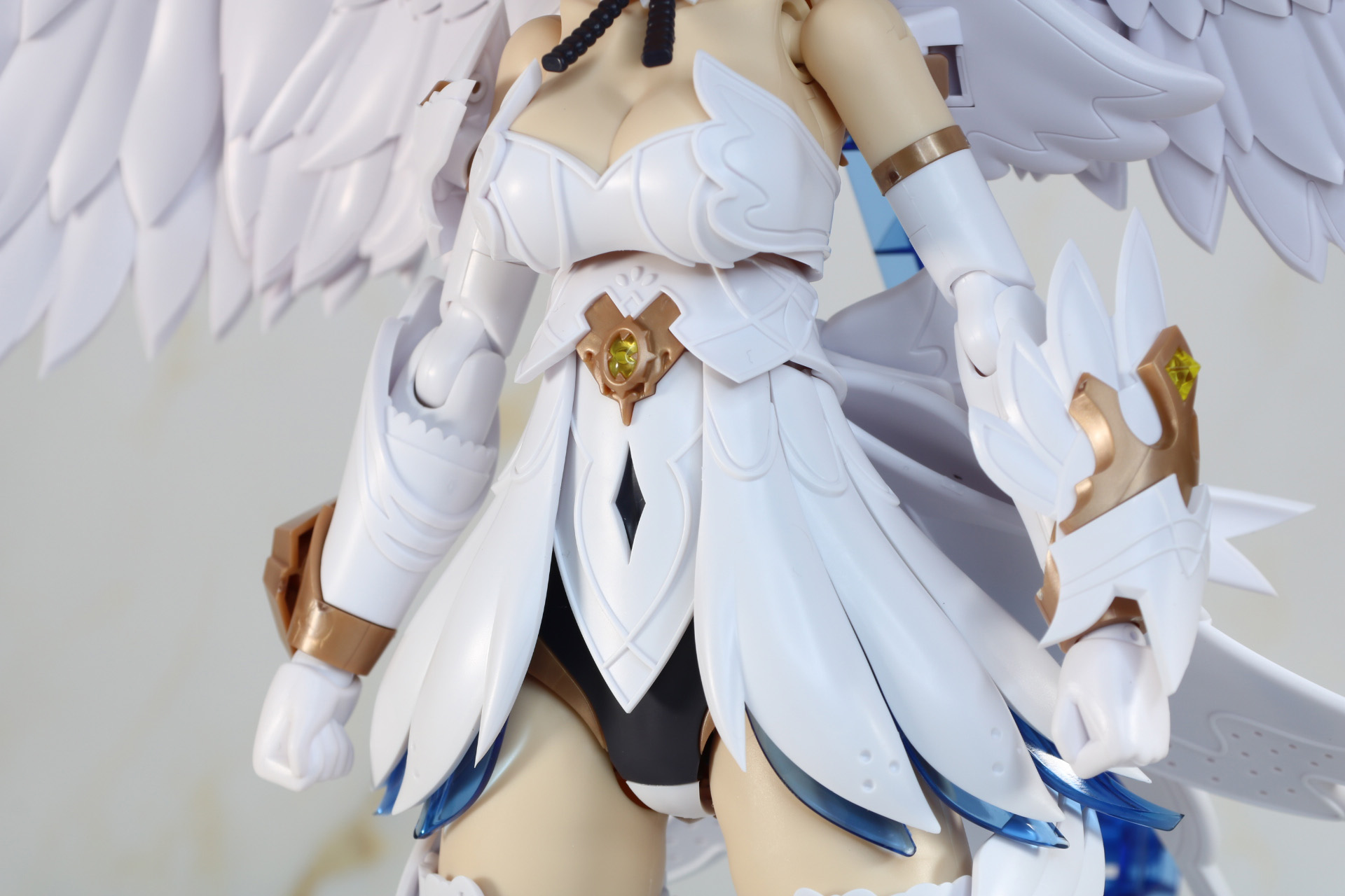 胴体周り
