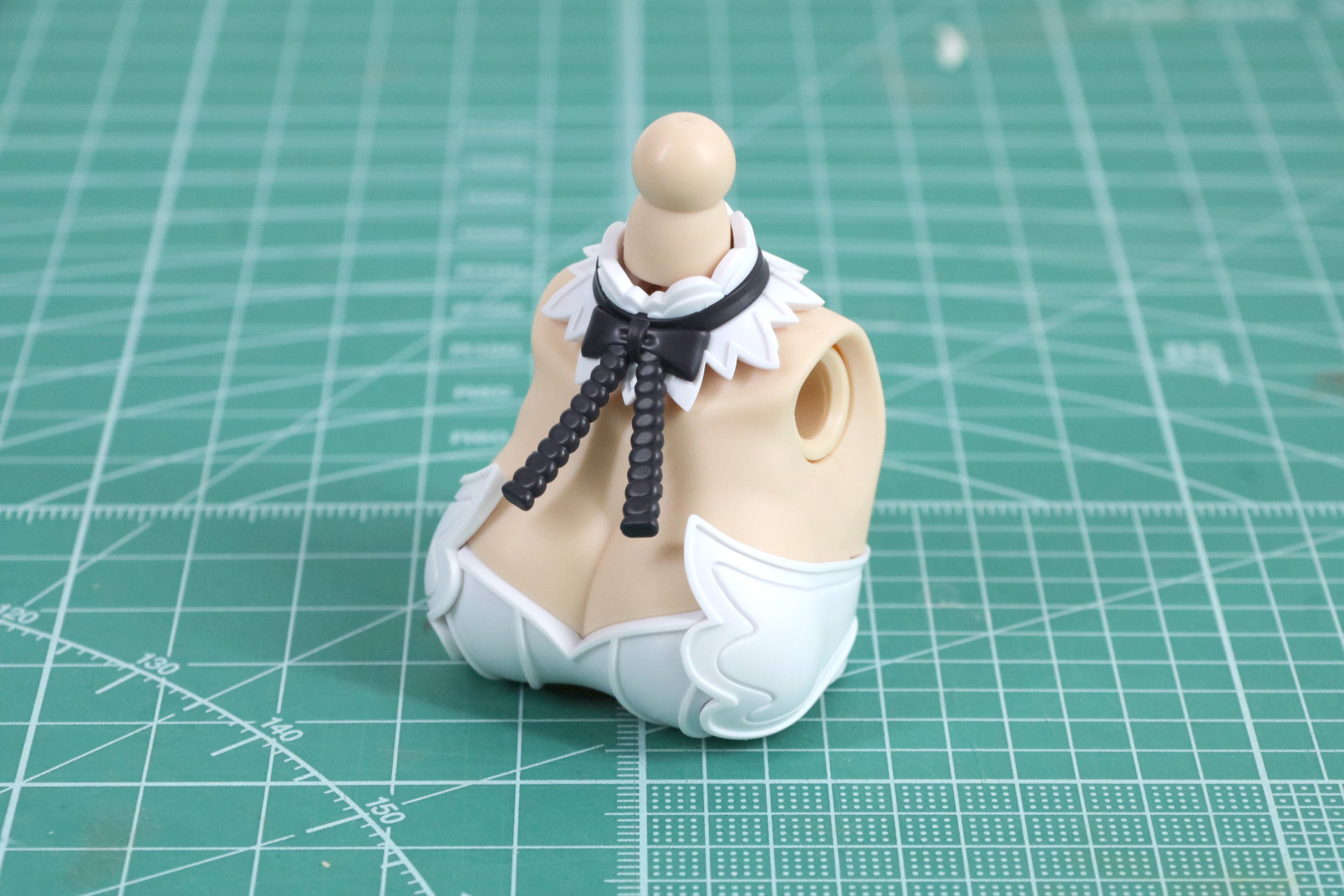 腹部の組み立て