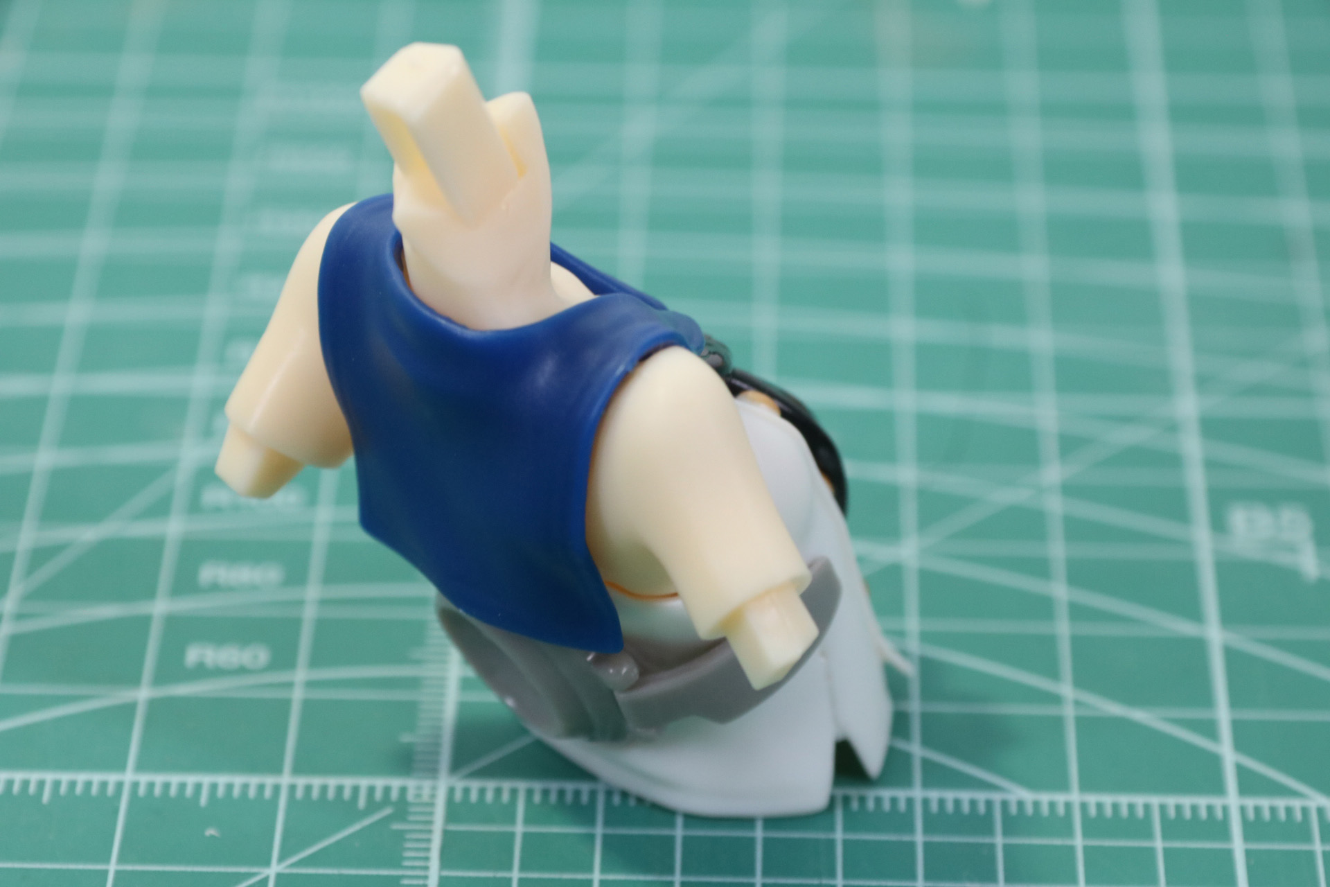 腹部の組み立て