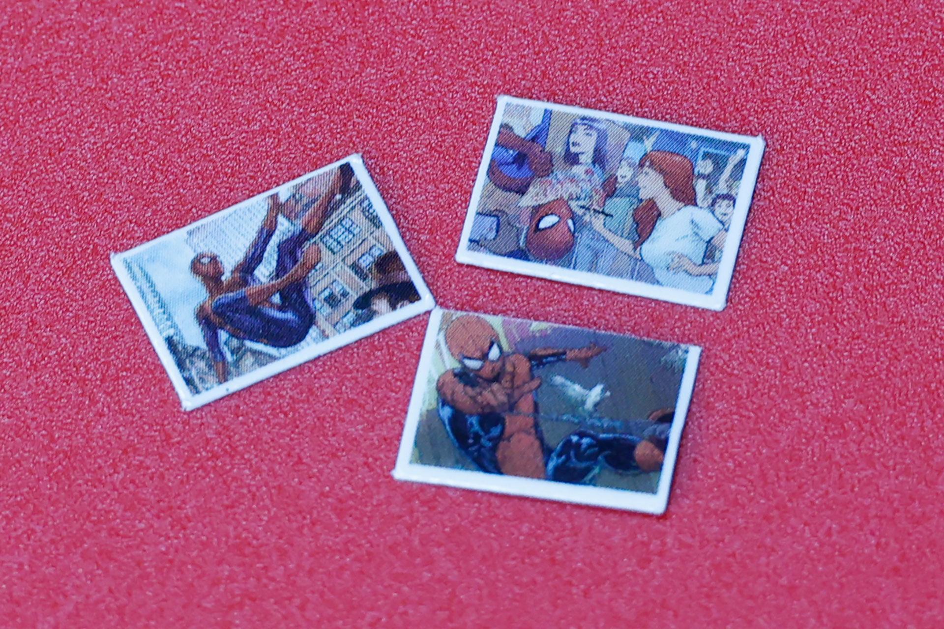 ボーナスパーツとして付属する写真ステッカー。かなり小さいので、なくさないようにしよう