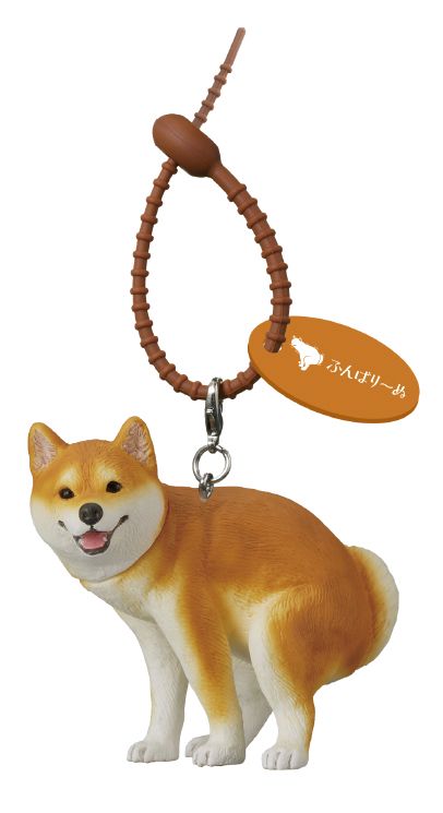 柴