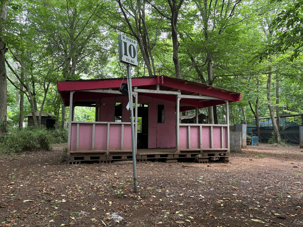 今ではまさに「カメハウス」という名にふさわしい外観になっている