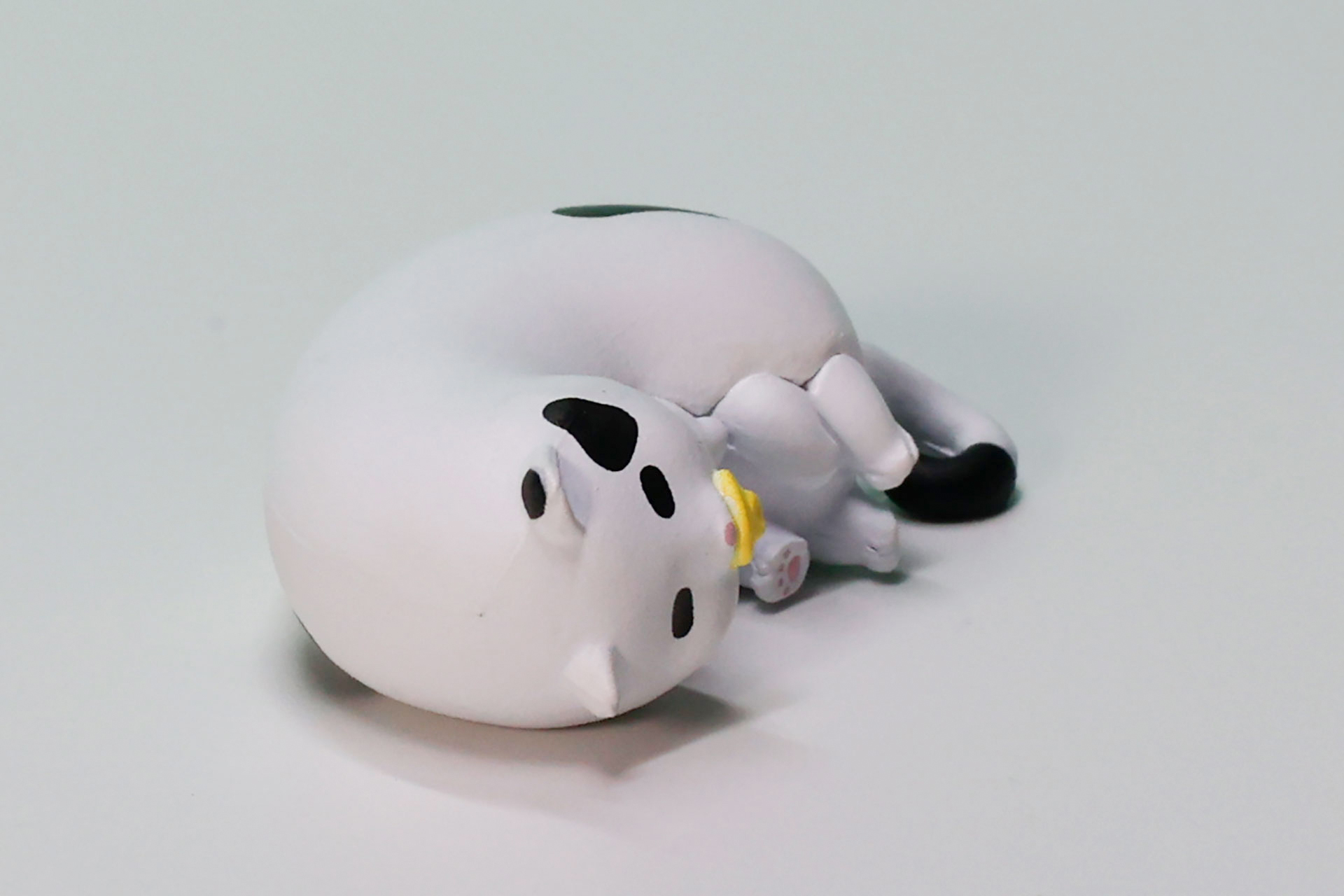 ごろんと寝転がった無防備な姿がかわいらしい