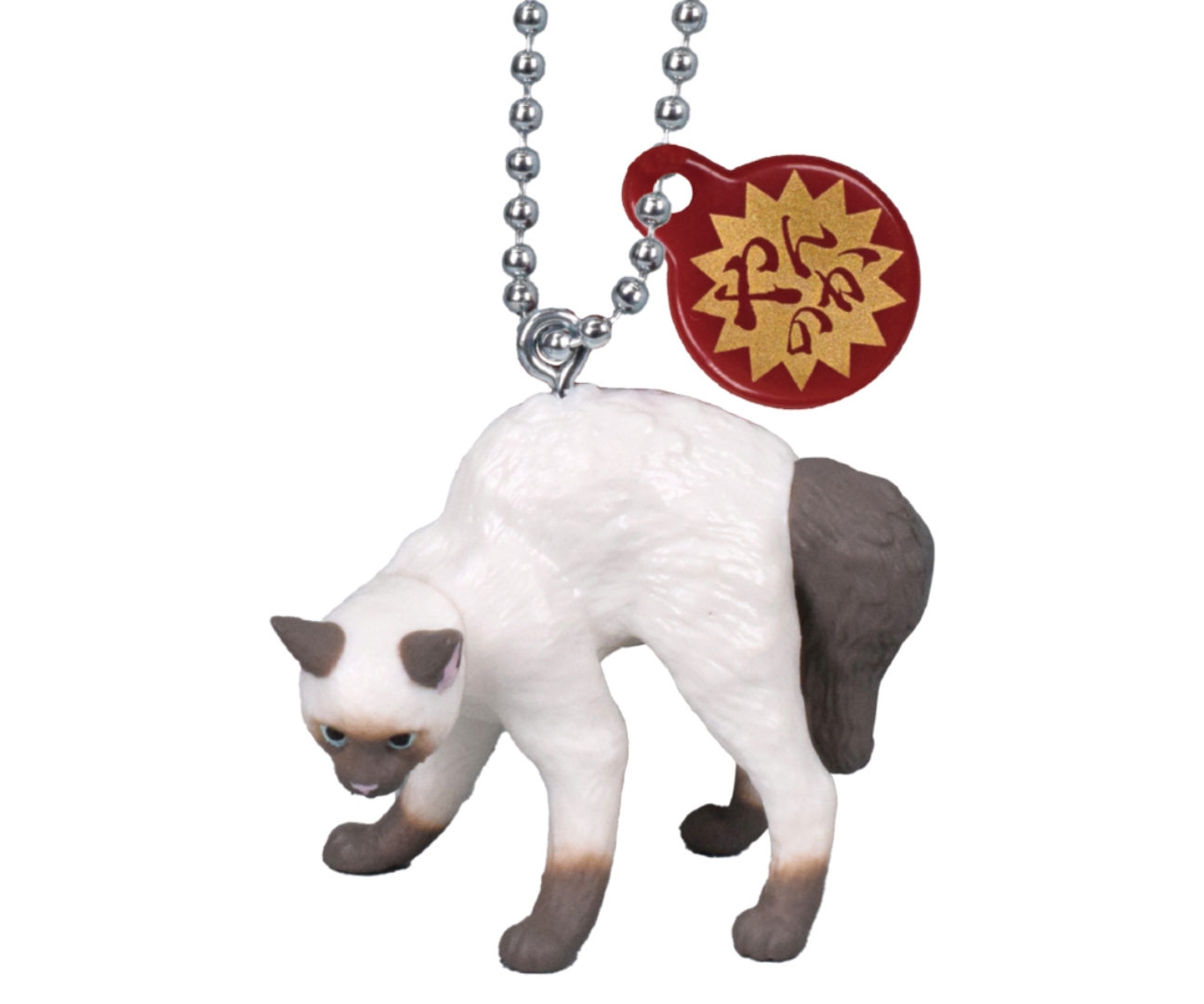 「シャム猫」