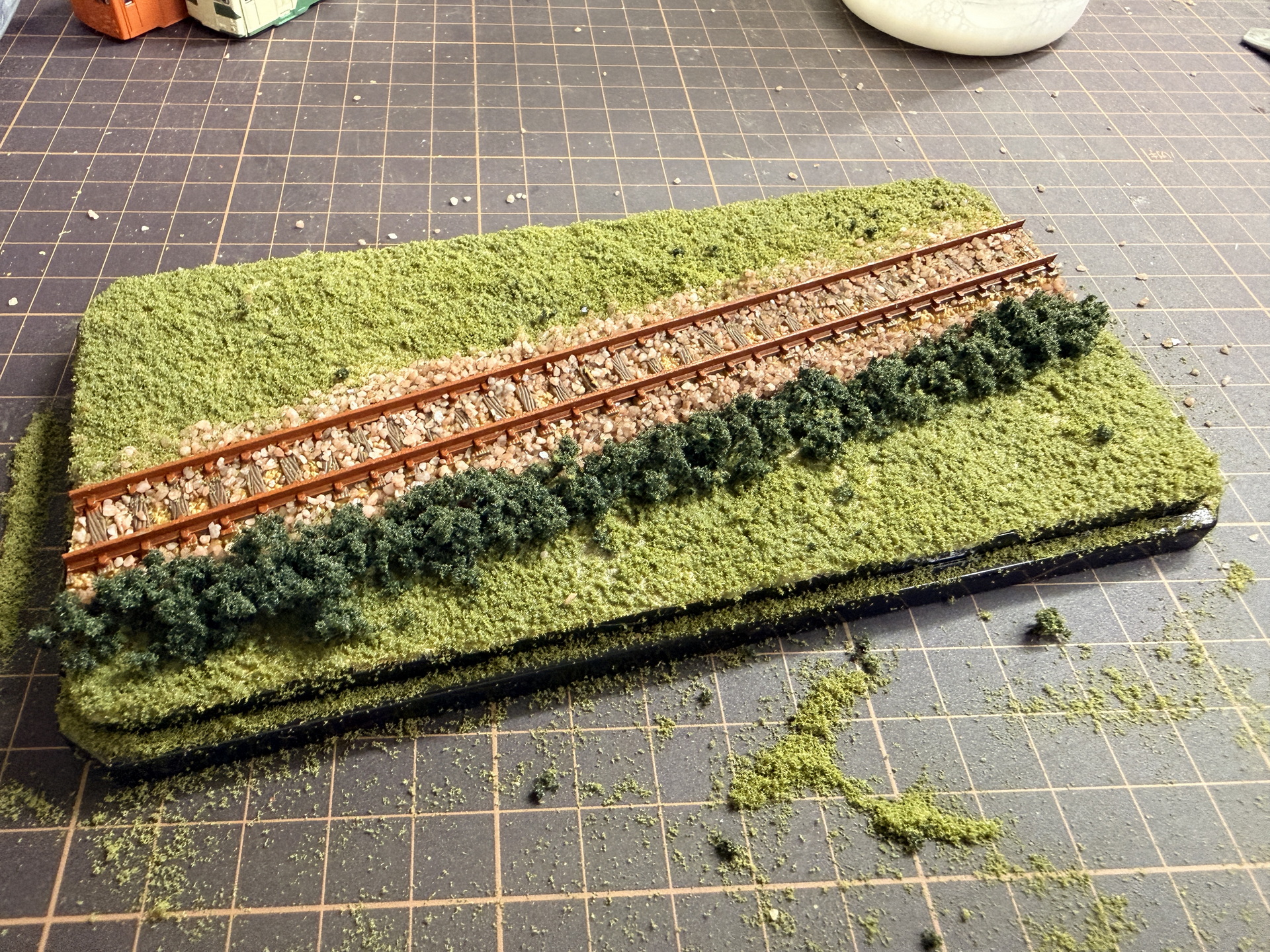フォリッジを線路際に植えていく