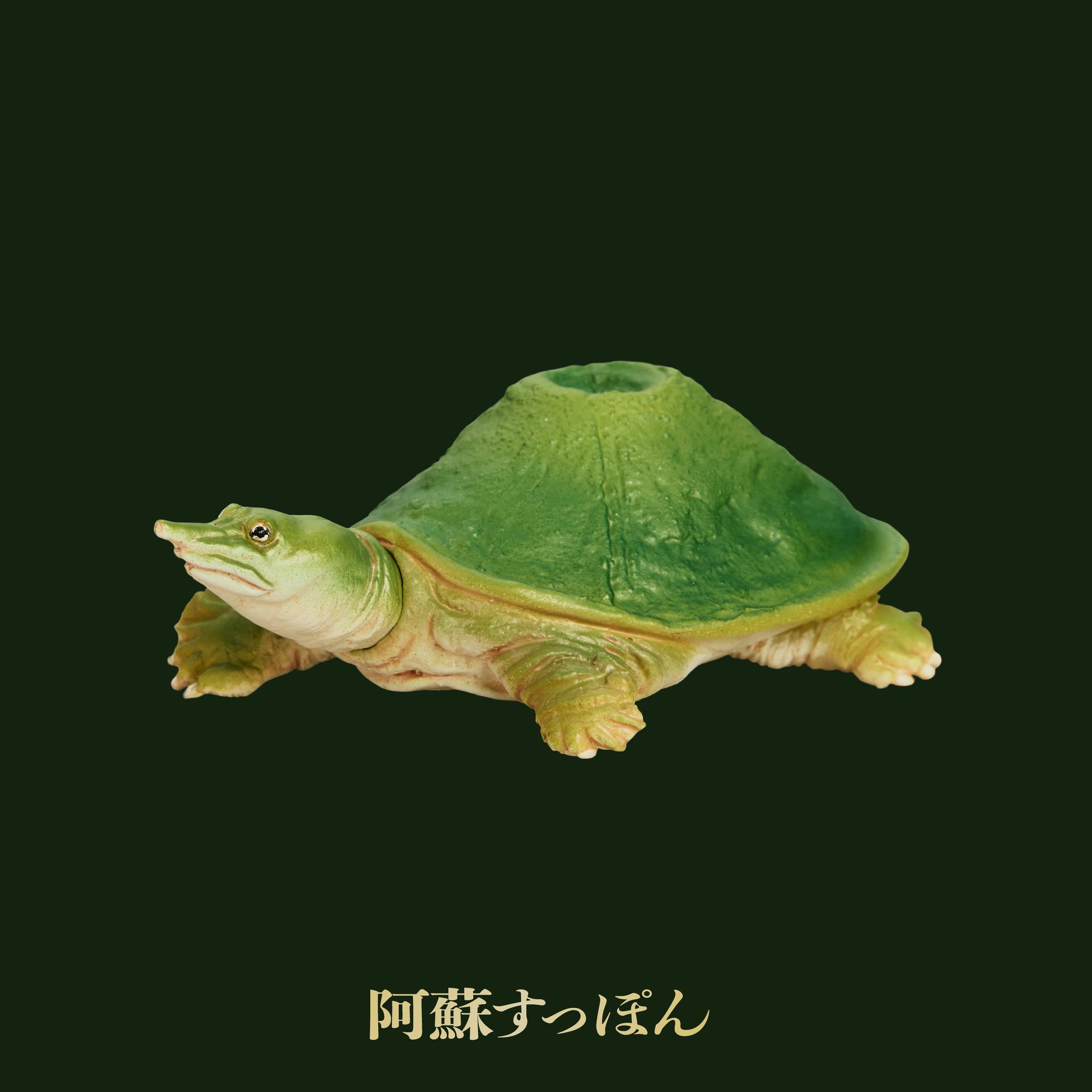 阿蘇すっぽん