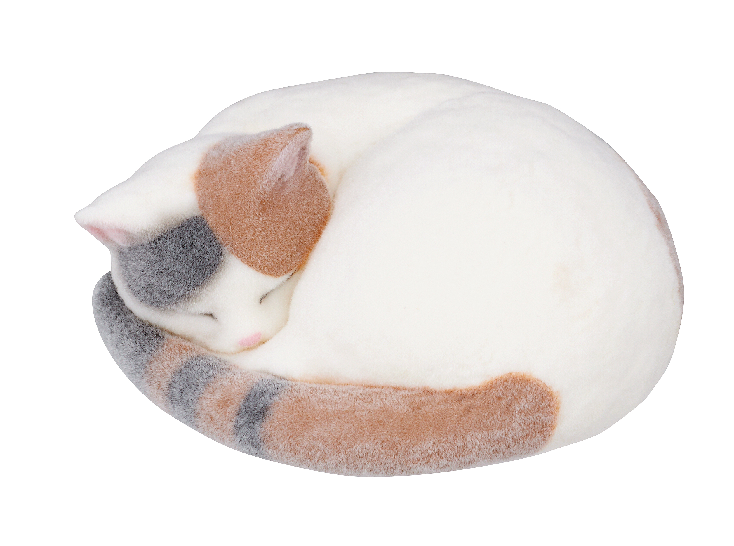 「三毛猫」