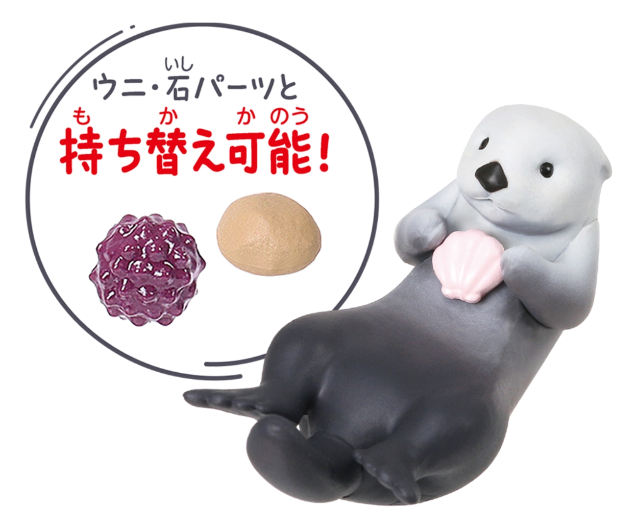 「貝を食べる」