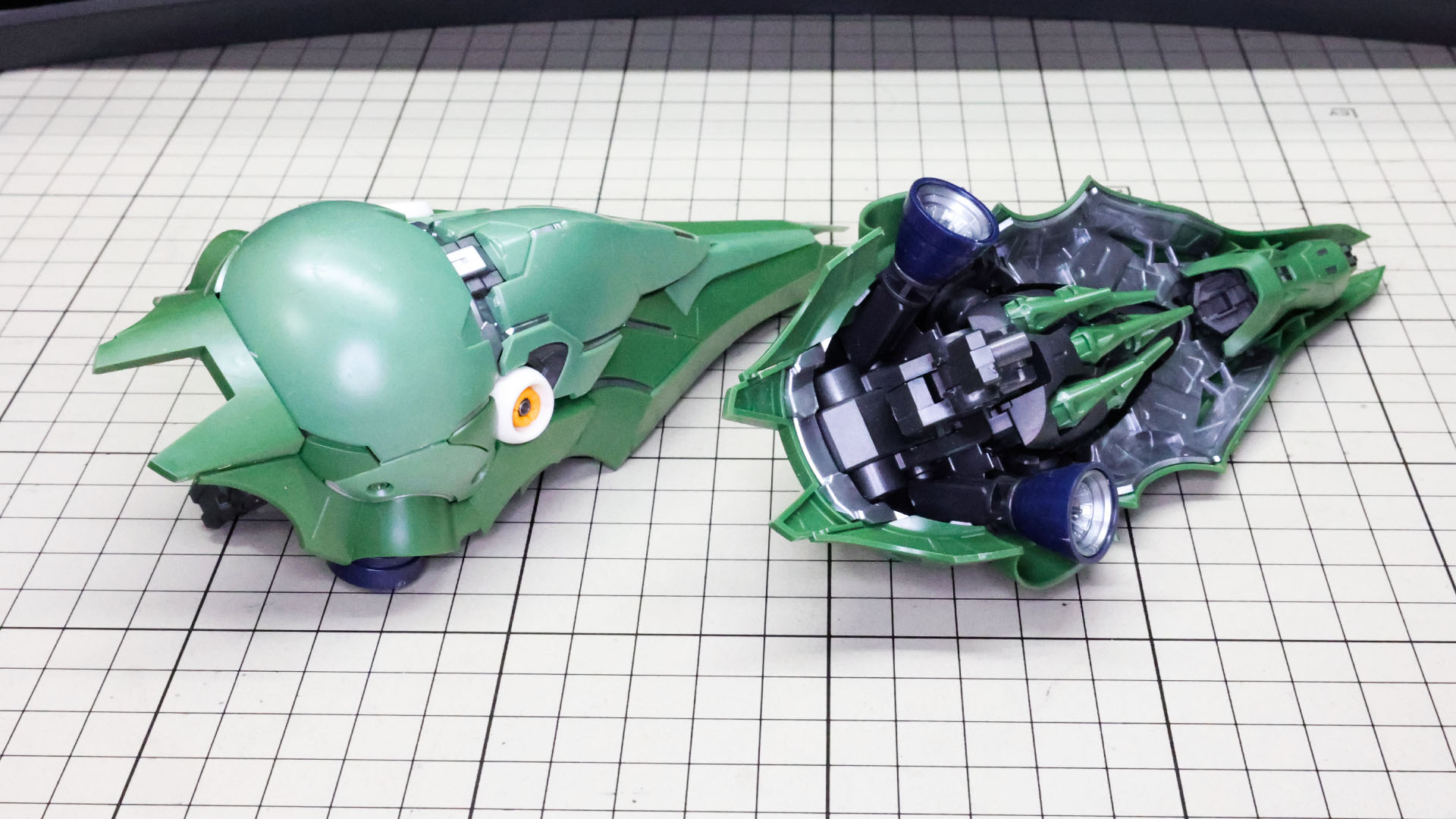 表も裏も見所満載です