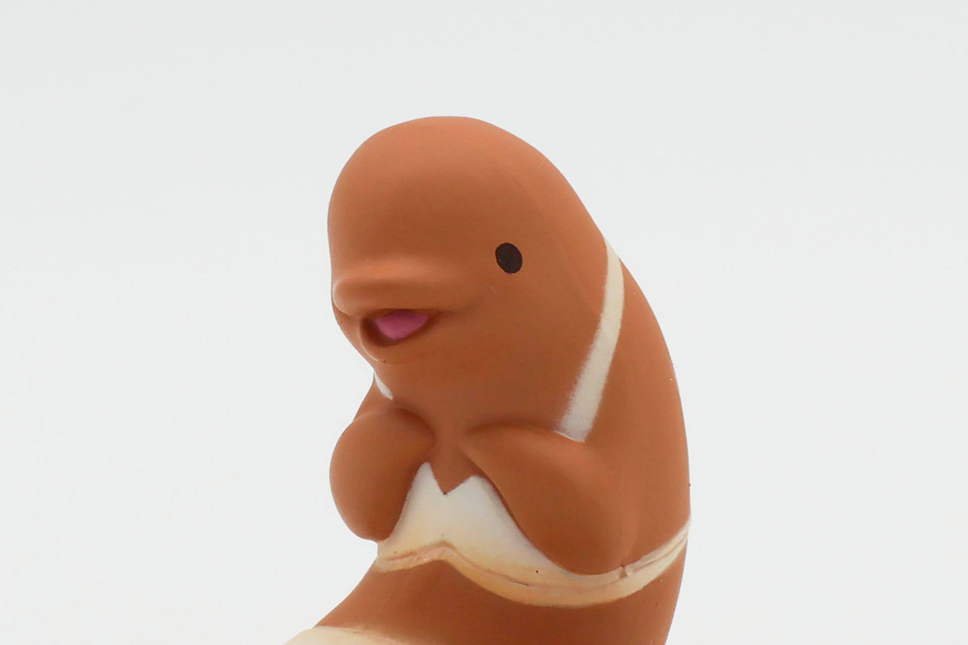 愛嬌のある表情だ