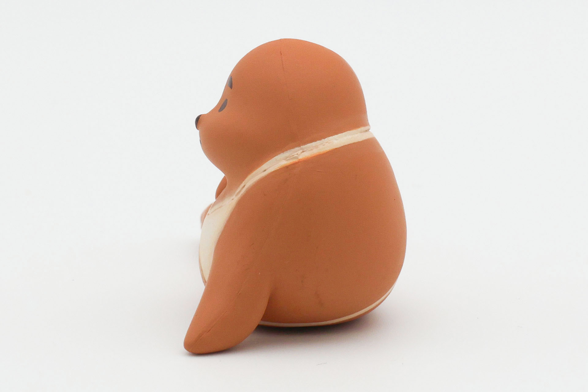 体は少し大きめだ