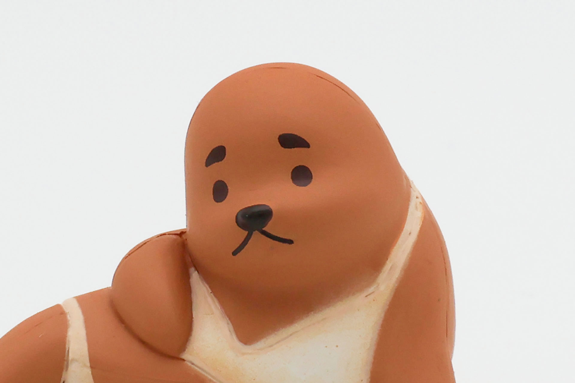 眉毛のような模様もチャームポイントだ