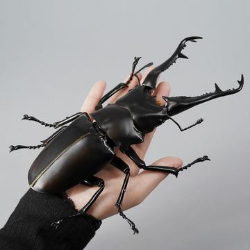 ワンフェス】暗闇で光る！ ワンフェス限定で「リボジオ タガメ