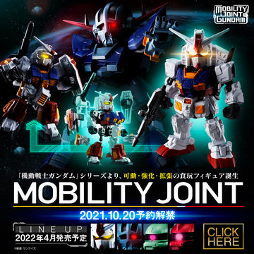 中古 プラモデル ガンプラ RX-78-2 ガンダム チームブライトカスタム RG 1/144 2021年製 5062187 プレミアムバンダイ限定 【714】 RG 1/144 RX-78-2 ガンダム（チームブライトカスタム）│株式