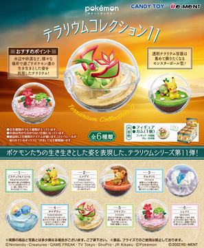 ポケットモンスター テラリウムコレクション10 ポケットモンスター テラリウムコレクション10：商品案内 | 株式