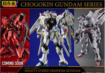 ガンプラ「劇場版公開記念パッケージ HG デスティニーガンダム
