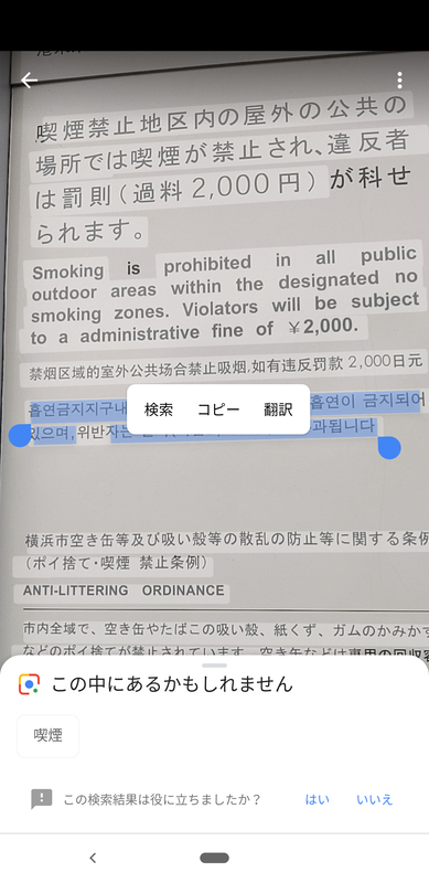 わからない外国語の部分を「範囲選択」し、翻訳することも可能。