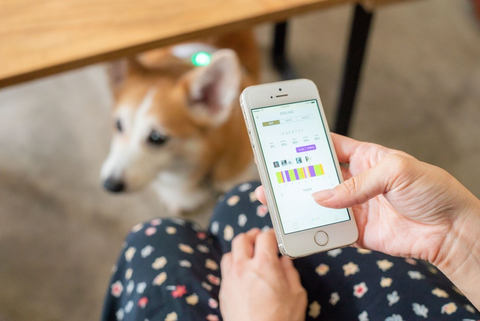 愛犬の心を読み解くデバイス「イヌパシー」。ソニーFirst Flightで